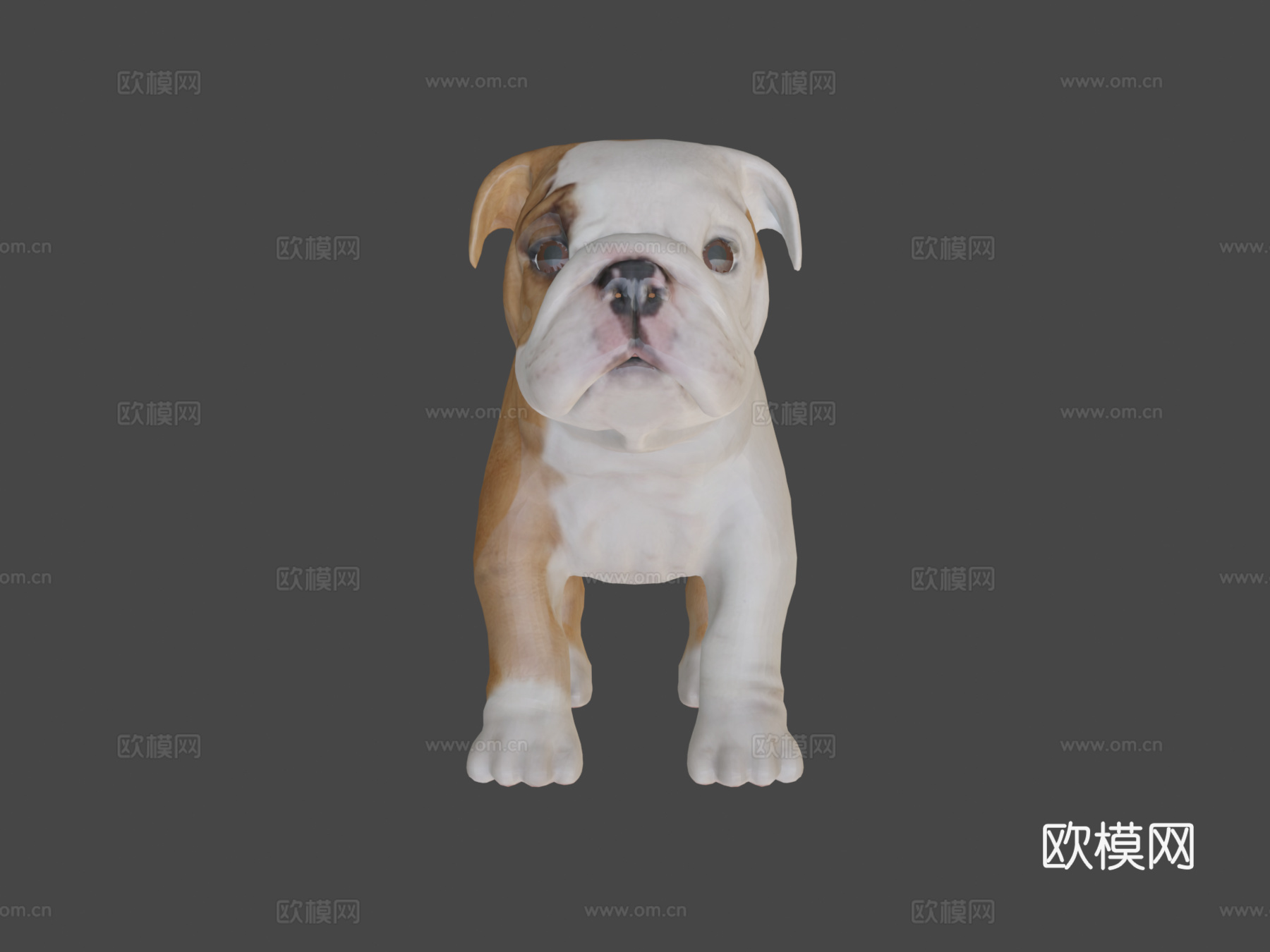 牛头犬幼崽3d模型