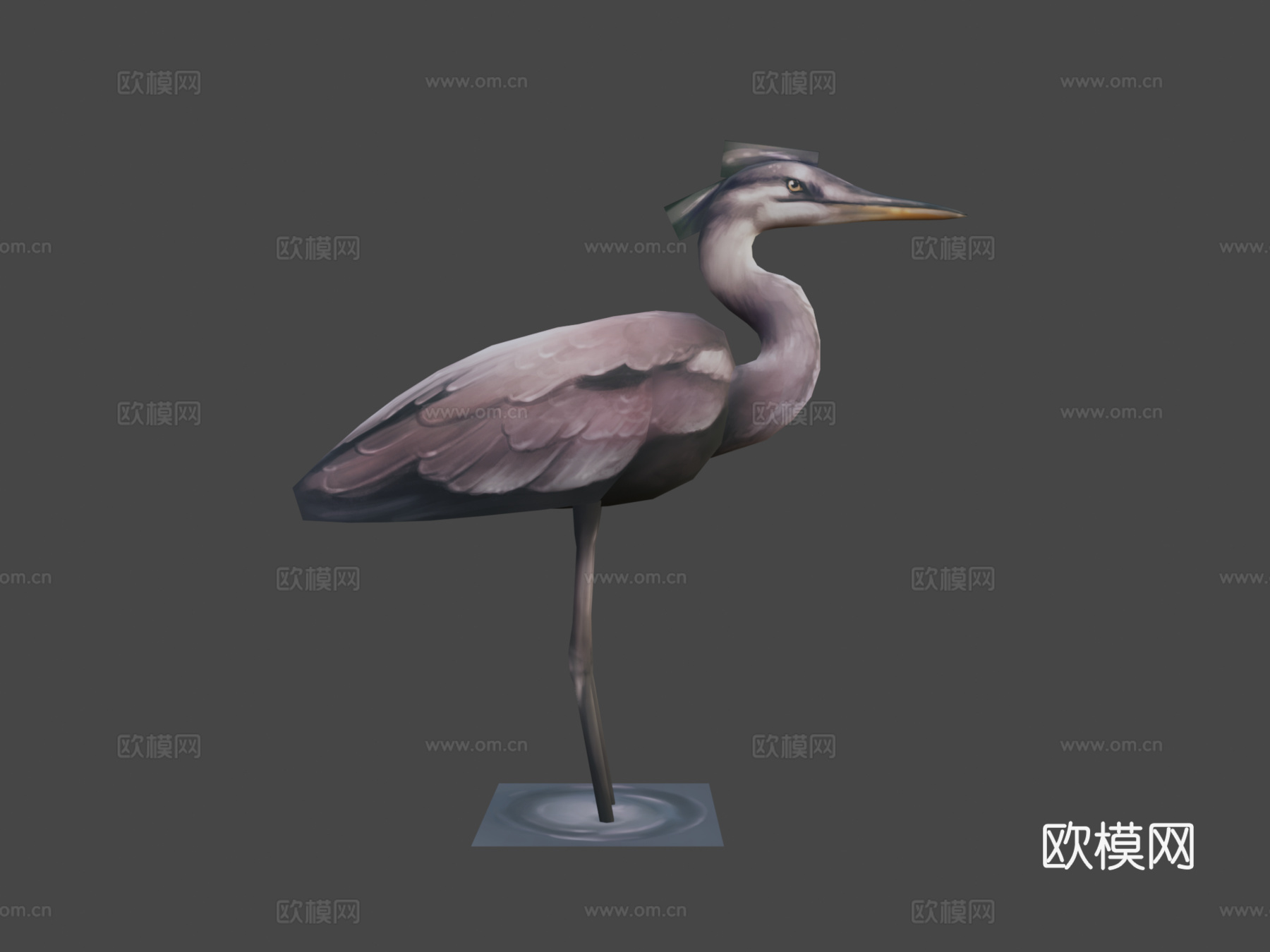 鸟3d模型