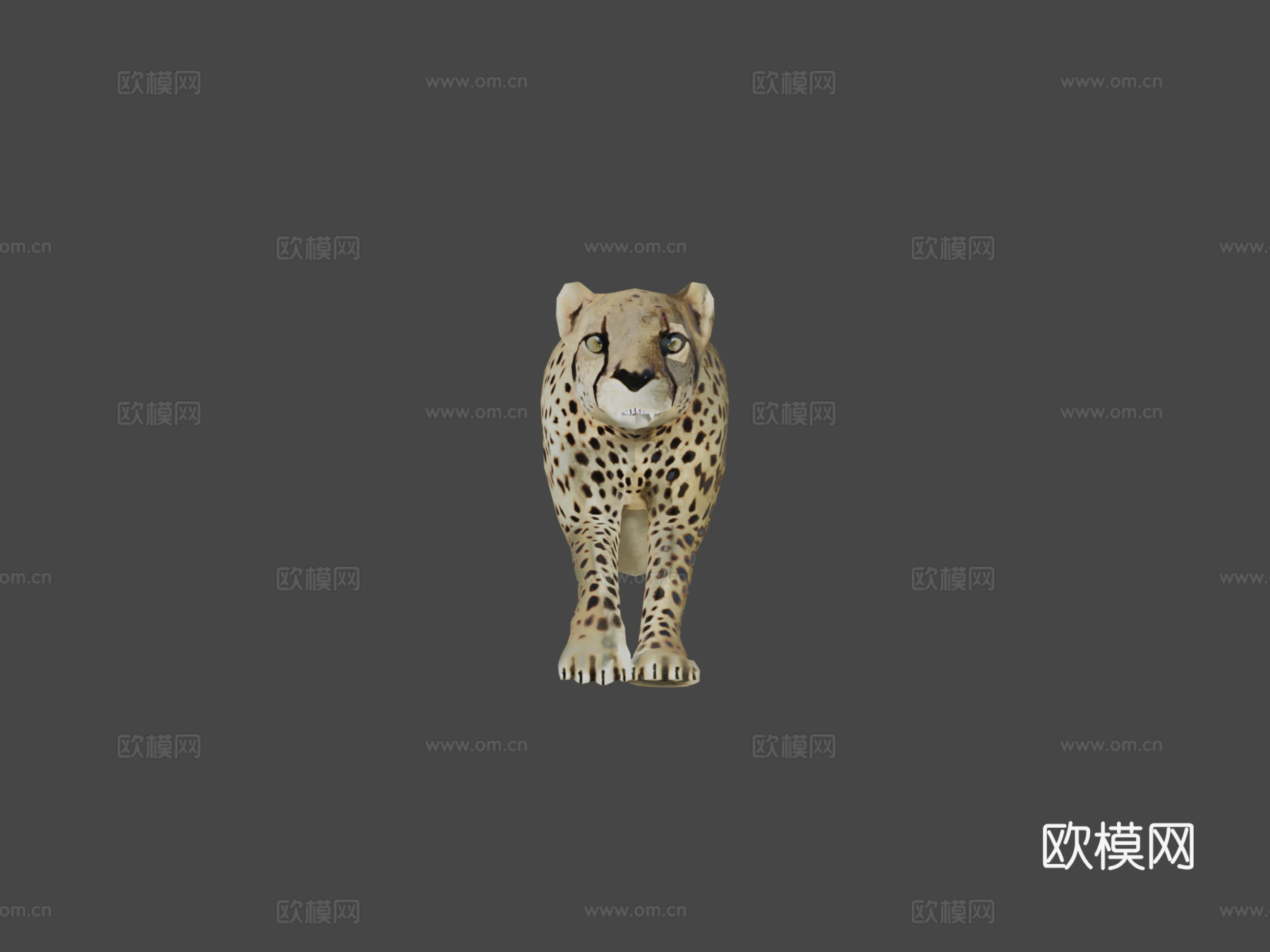 猎豹3d模型