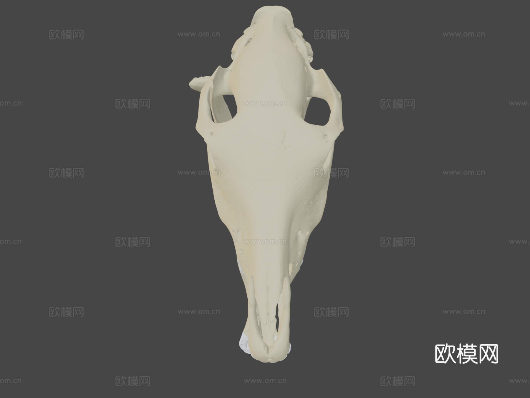 莫纳什神秘头骨-黄色3d模型