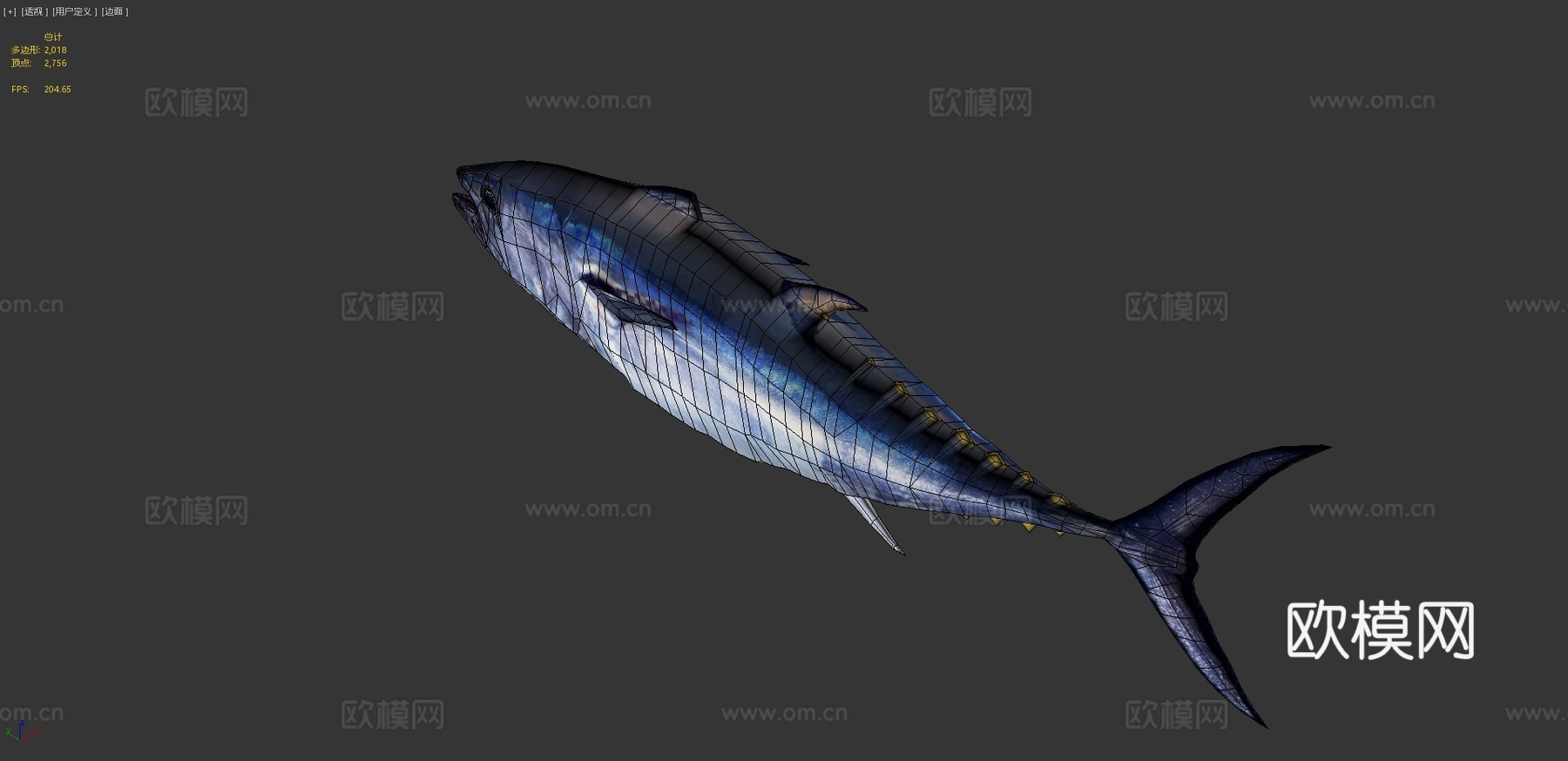 金枪鱼3d模型