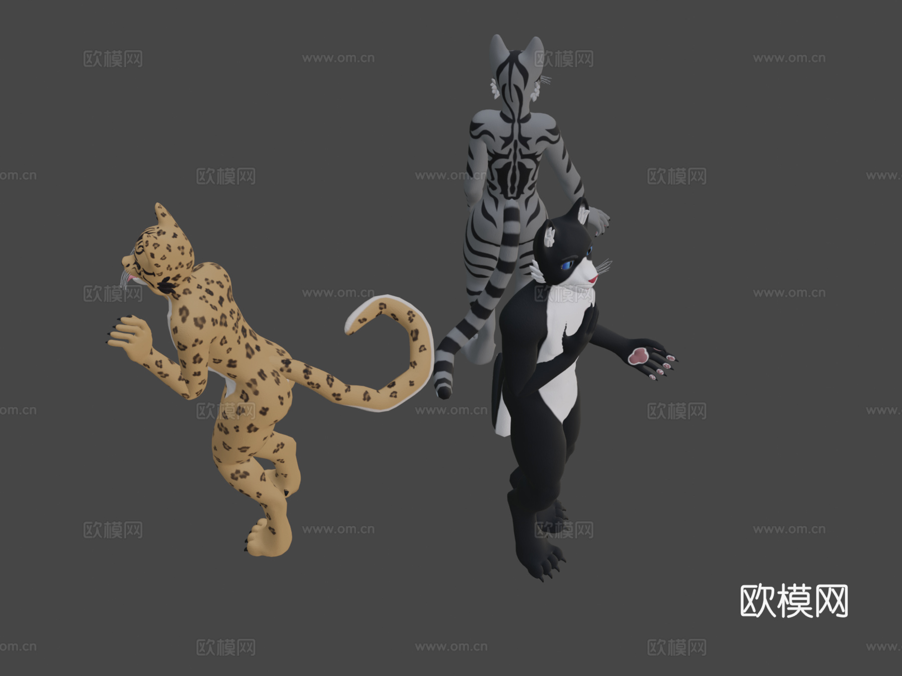 VRChat猫科基础模型3d模型