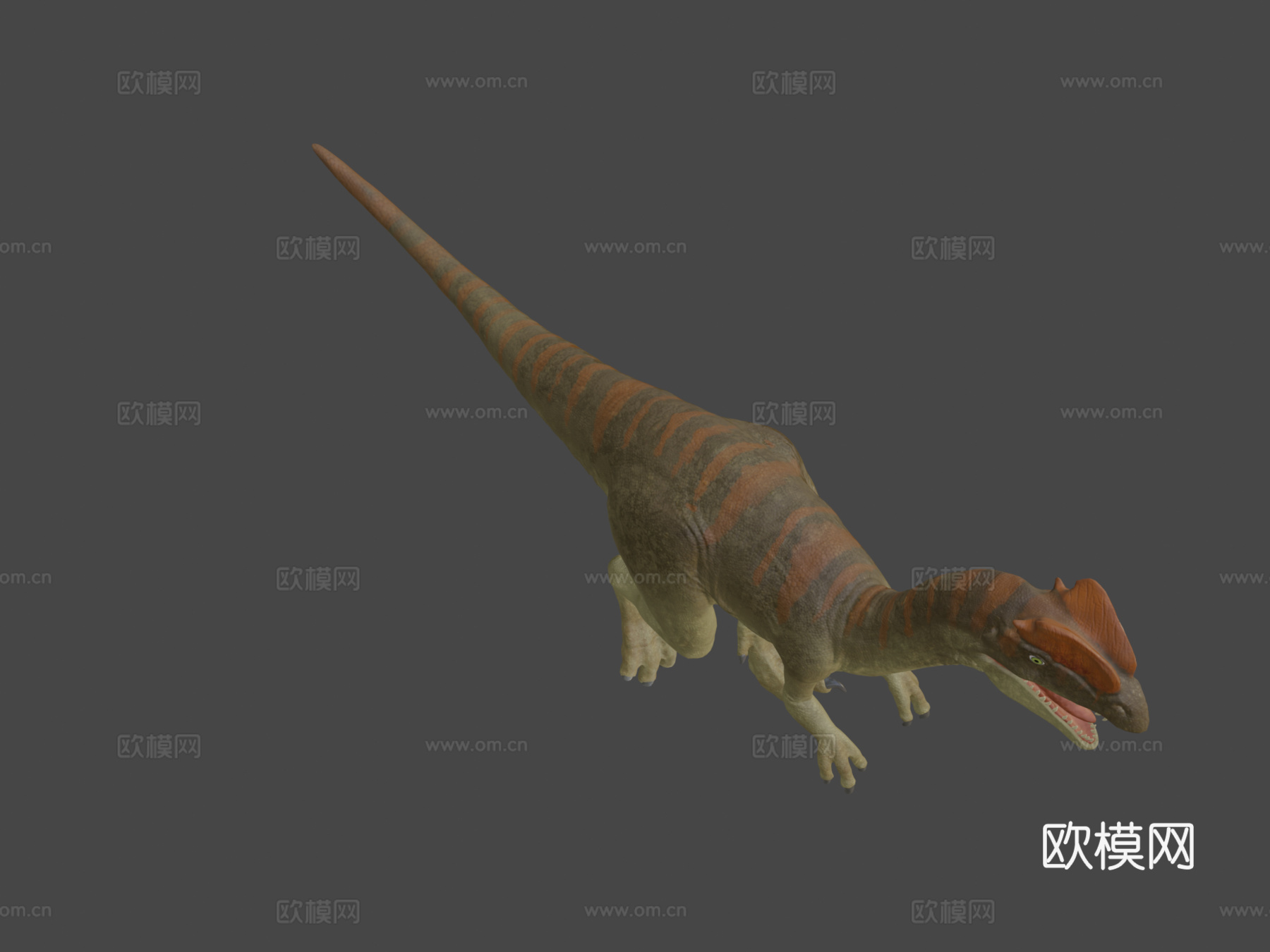 双脊龙3d模型