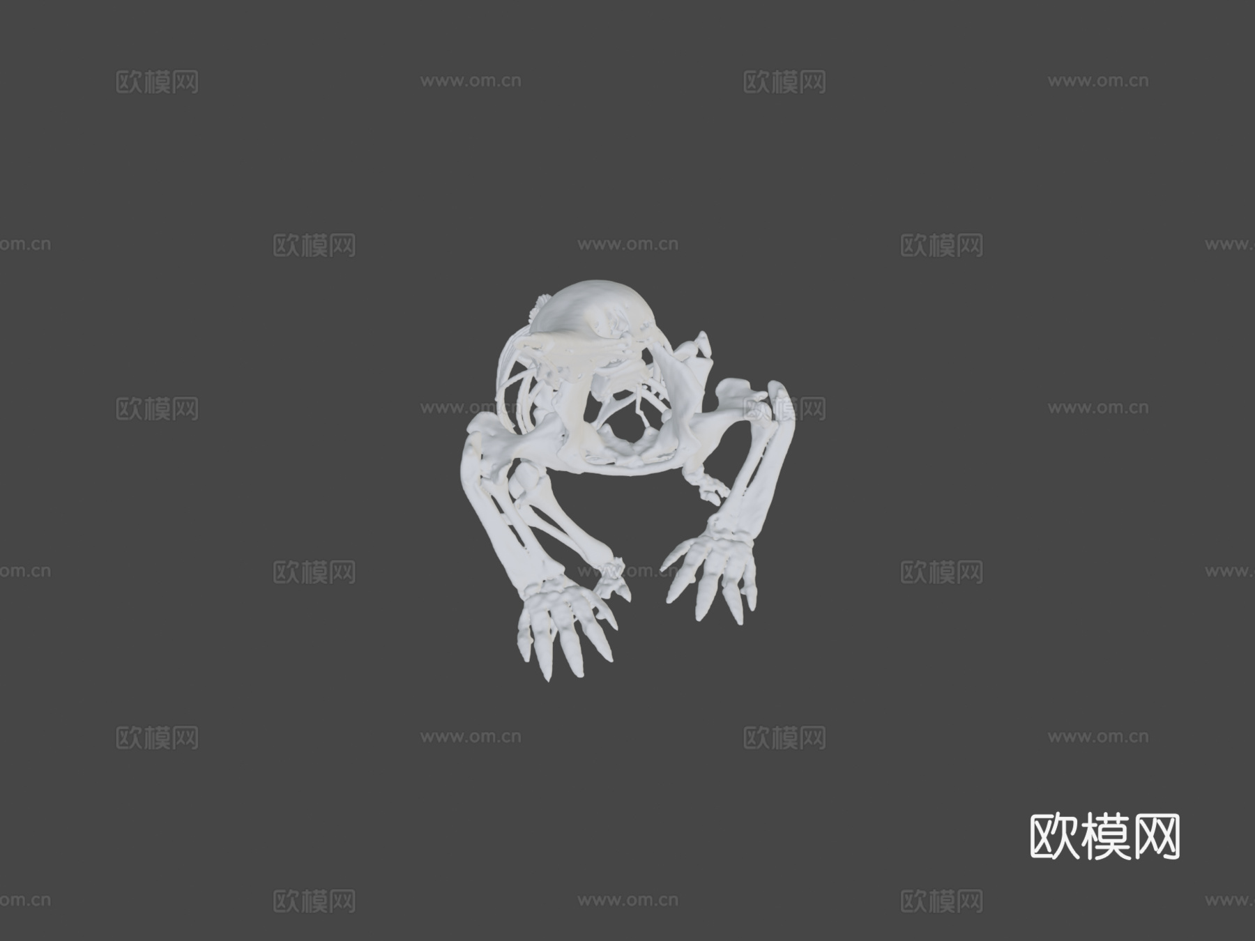 针鼹3d模型
