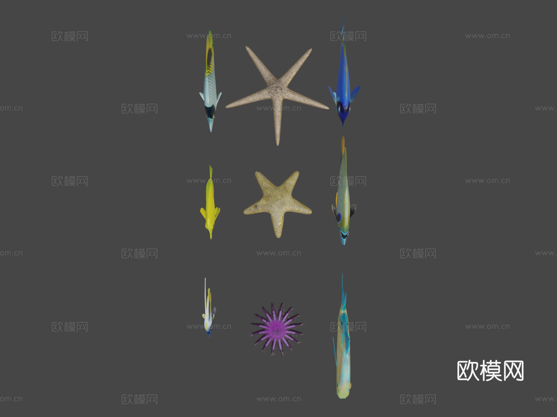 鱼类收藏3d模型