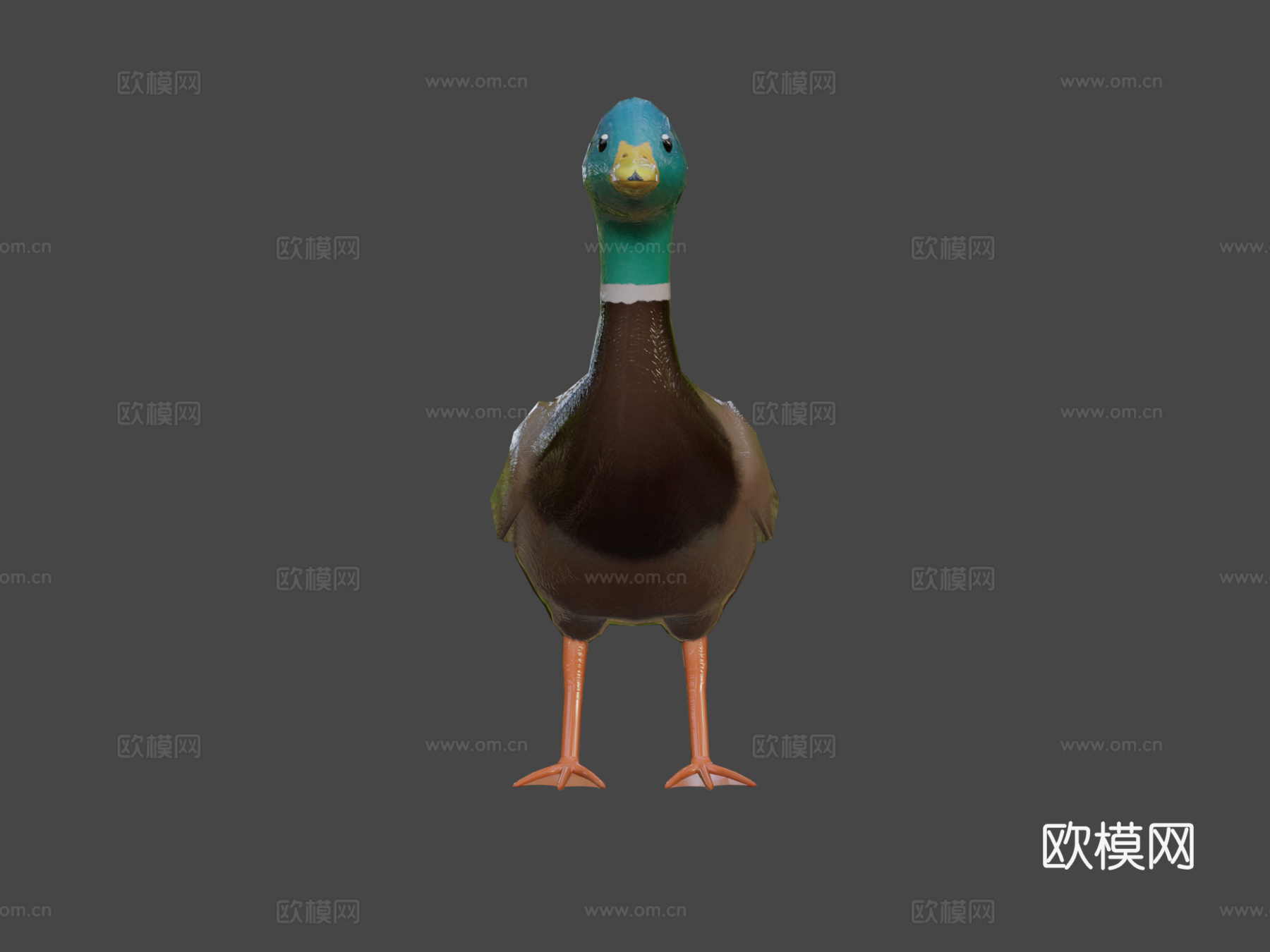 绿头鸭3d模型