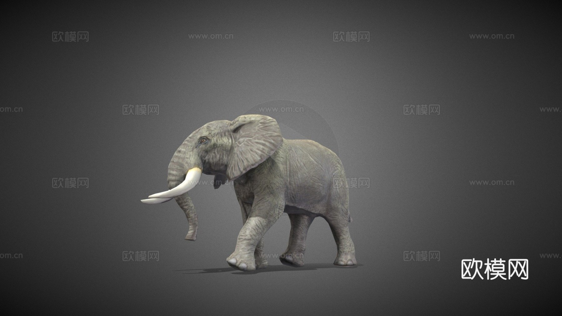 大象3d模型
