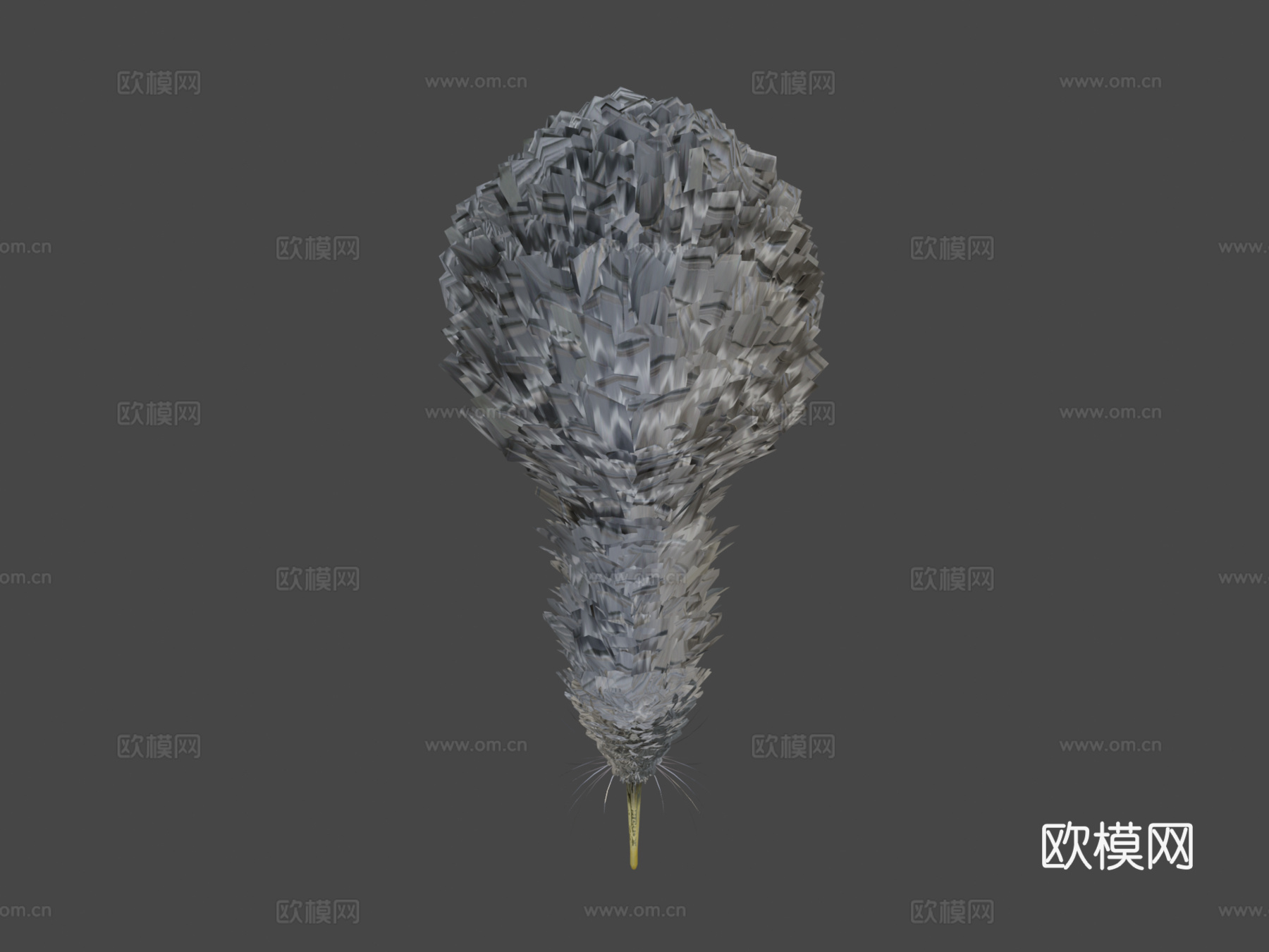 小斑点几维鸟3d模型