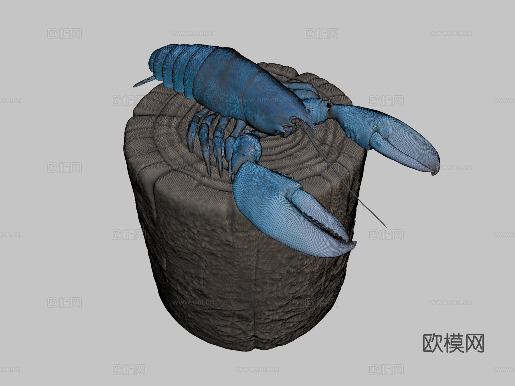 蓝龙虾3d模型
