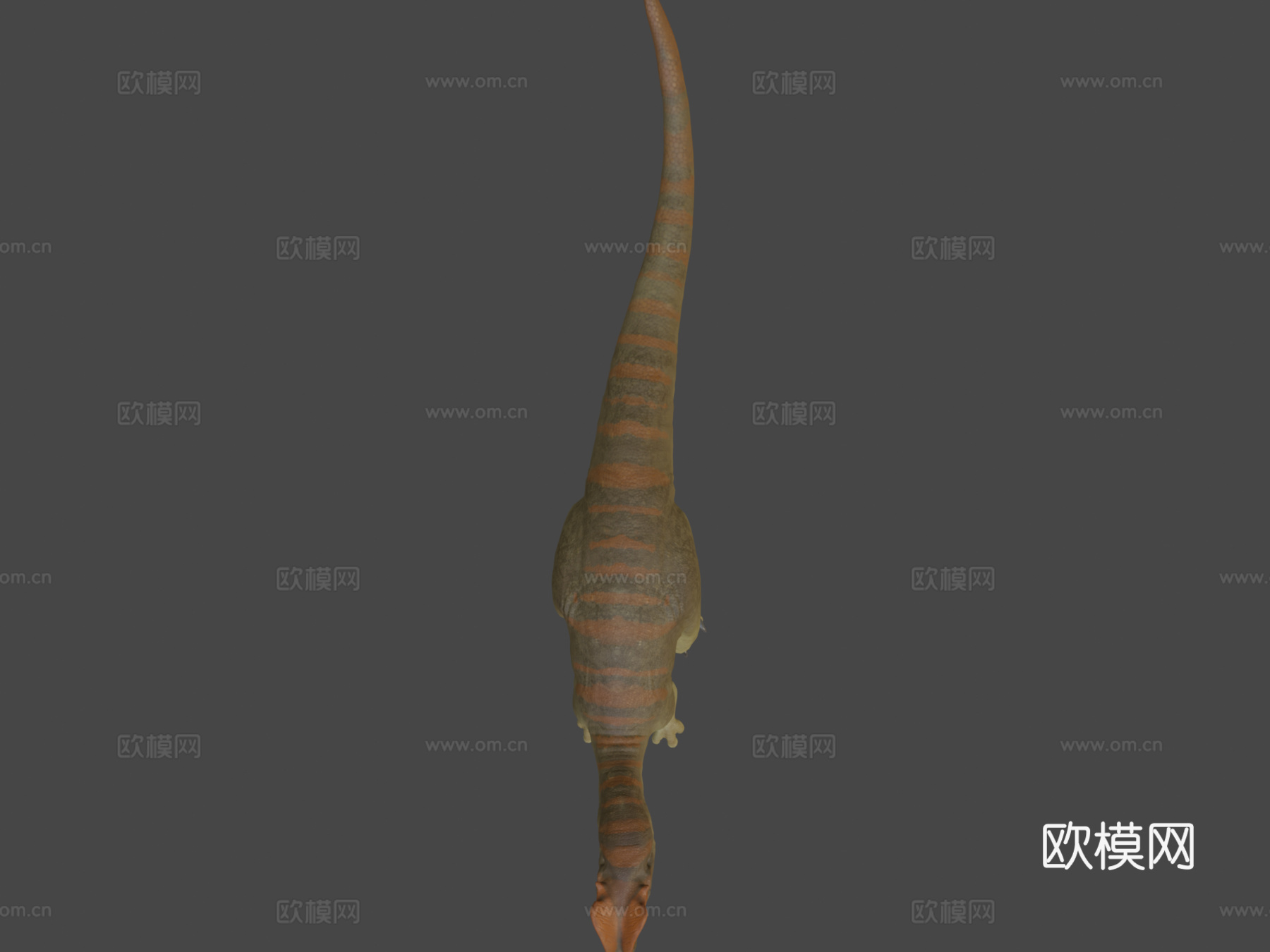 双脊龙3d模型