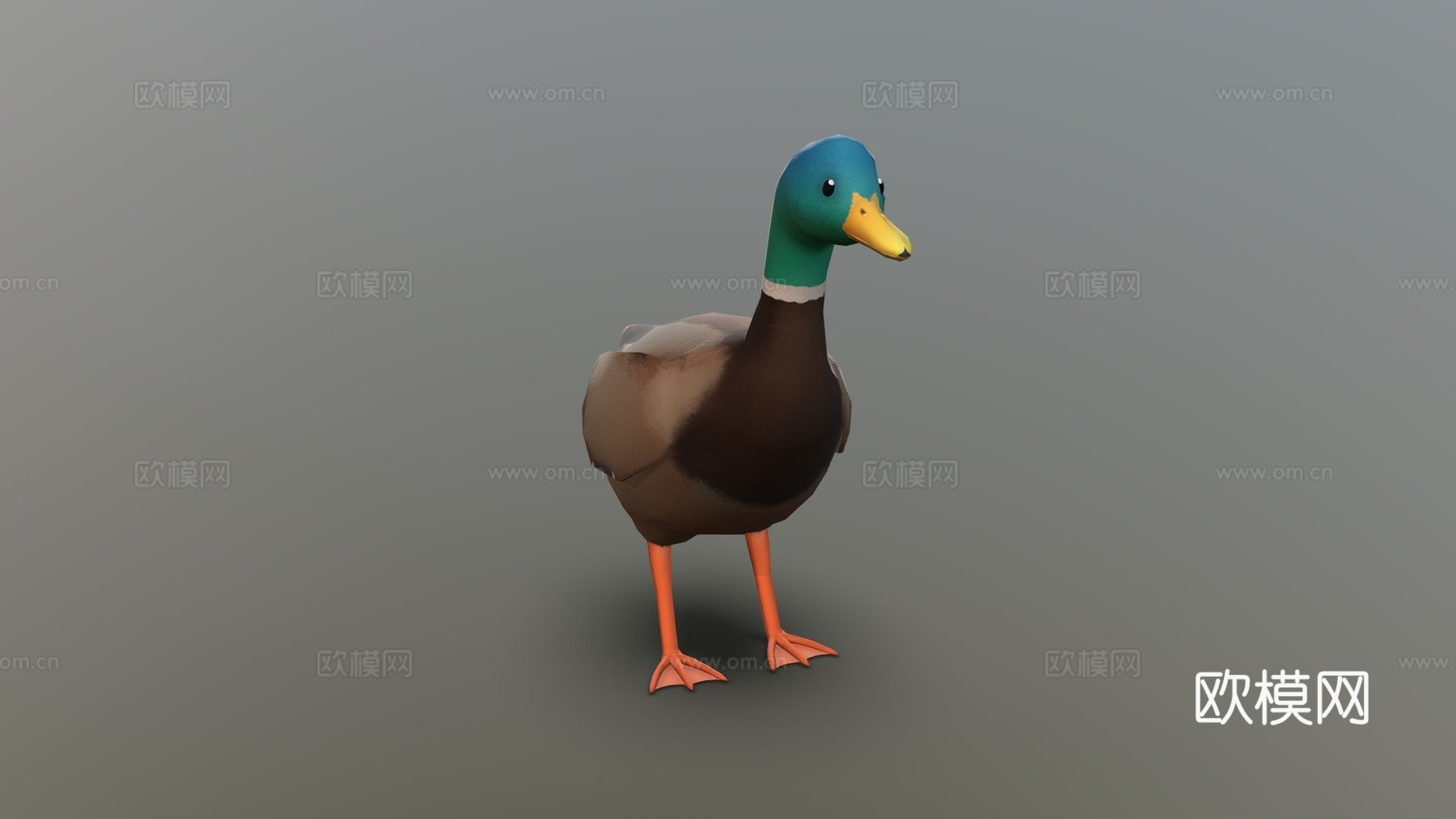 绿头鸭3d模型