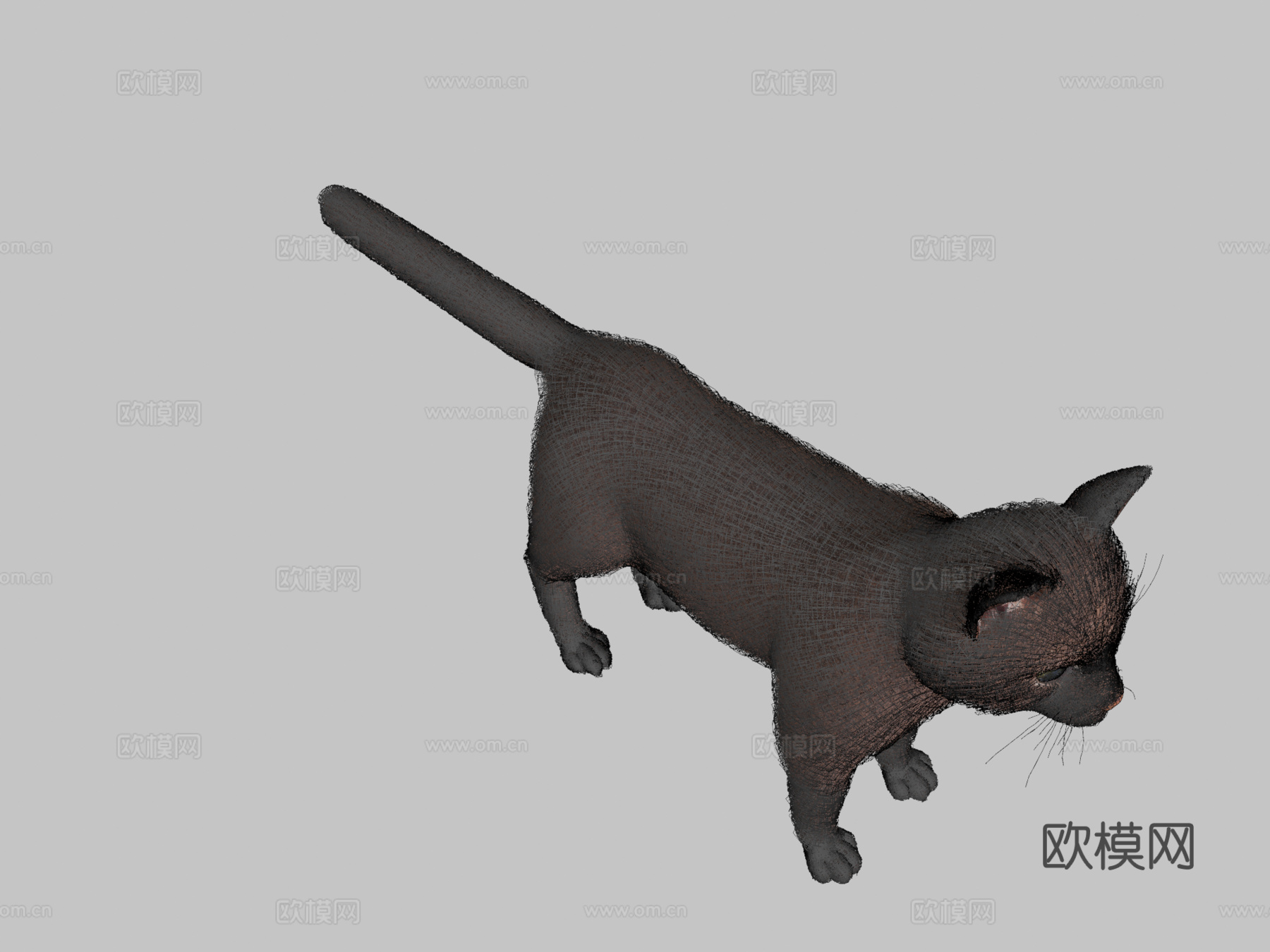 写实猫愿望实时毛发3d模型