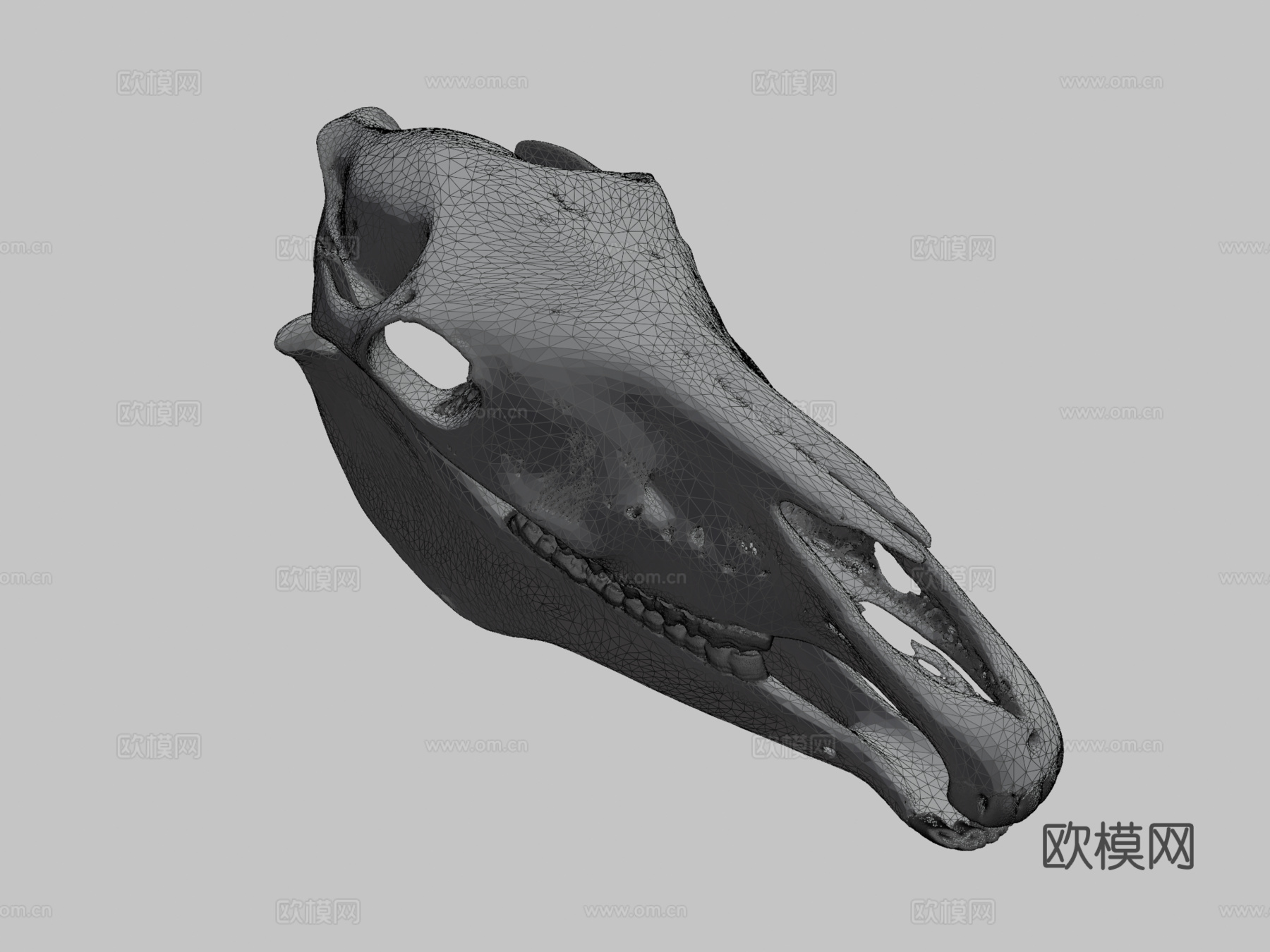 莫纳什神秘头骨-黄色3d模型