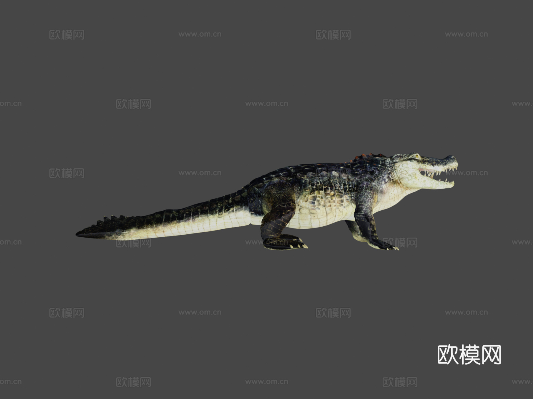 鳄鱼3d模型