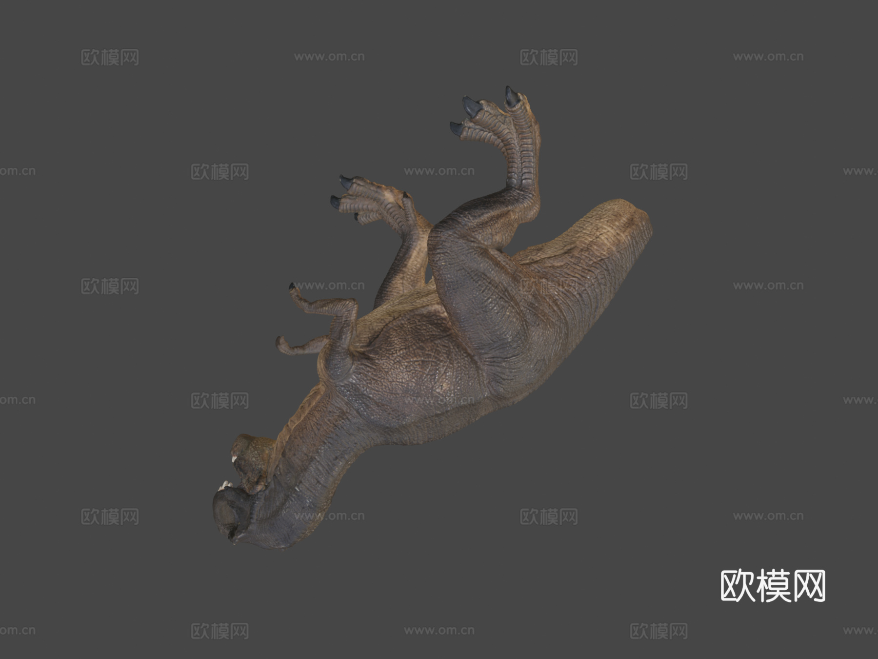 霸王龙3d模型
