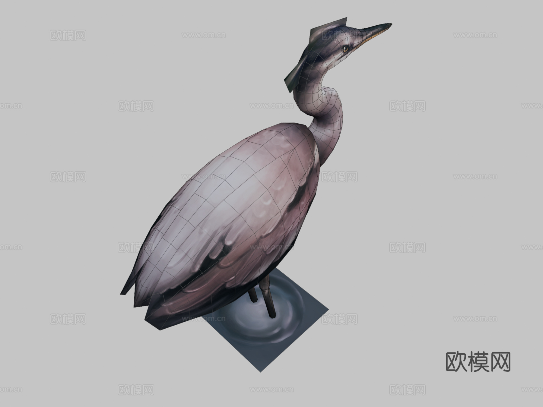 鸟3d模型