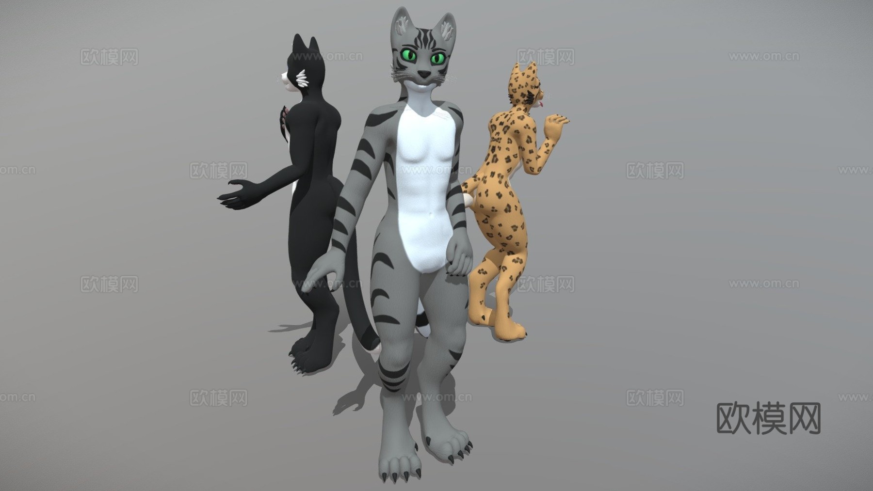 VRChat猫科基础模型3d模型