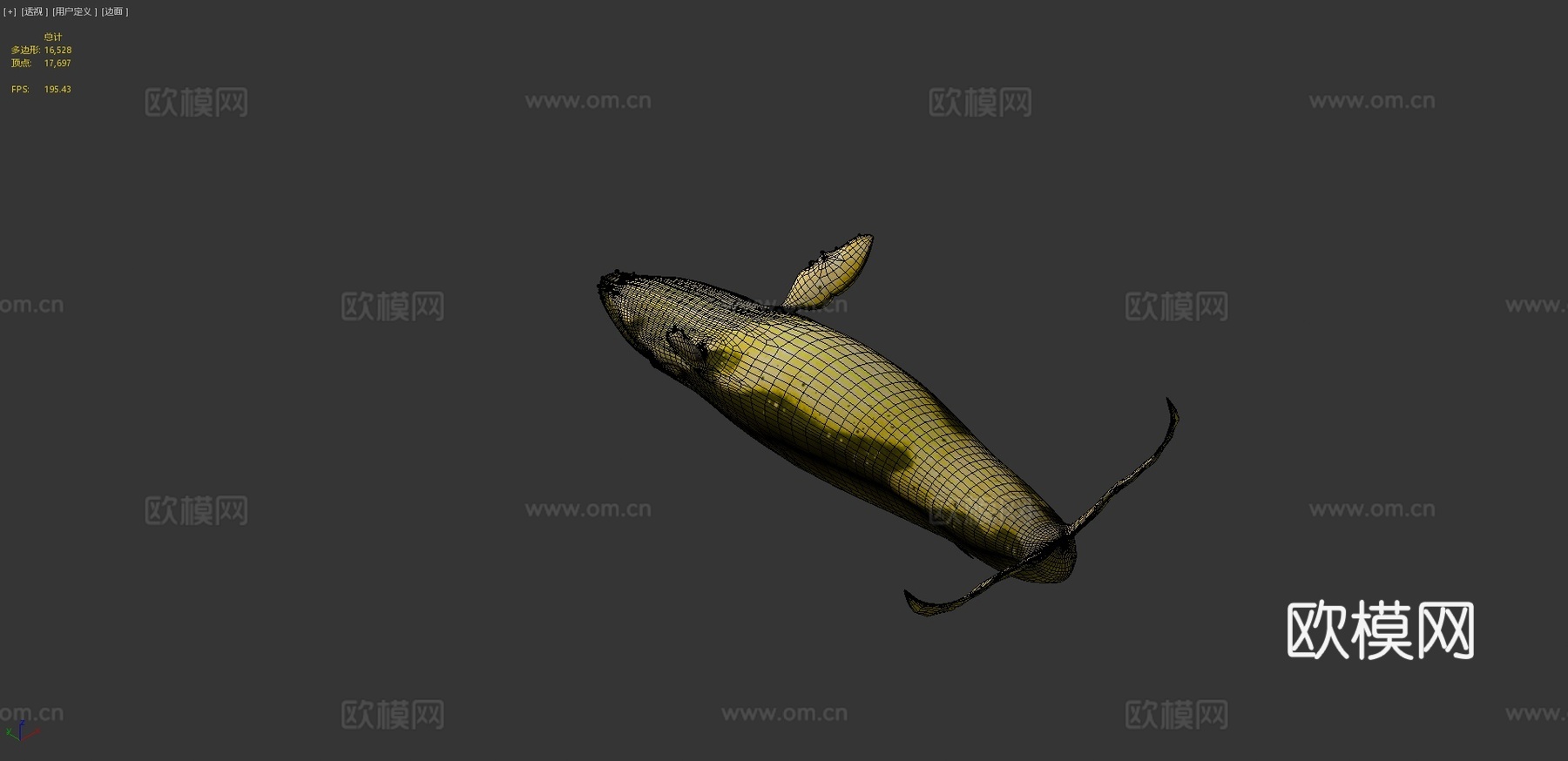 绑定动画蓝鲸3d模型