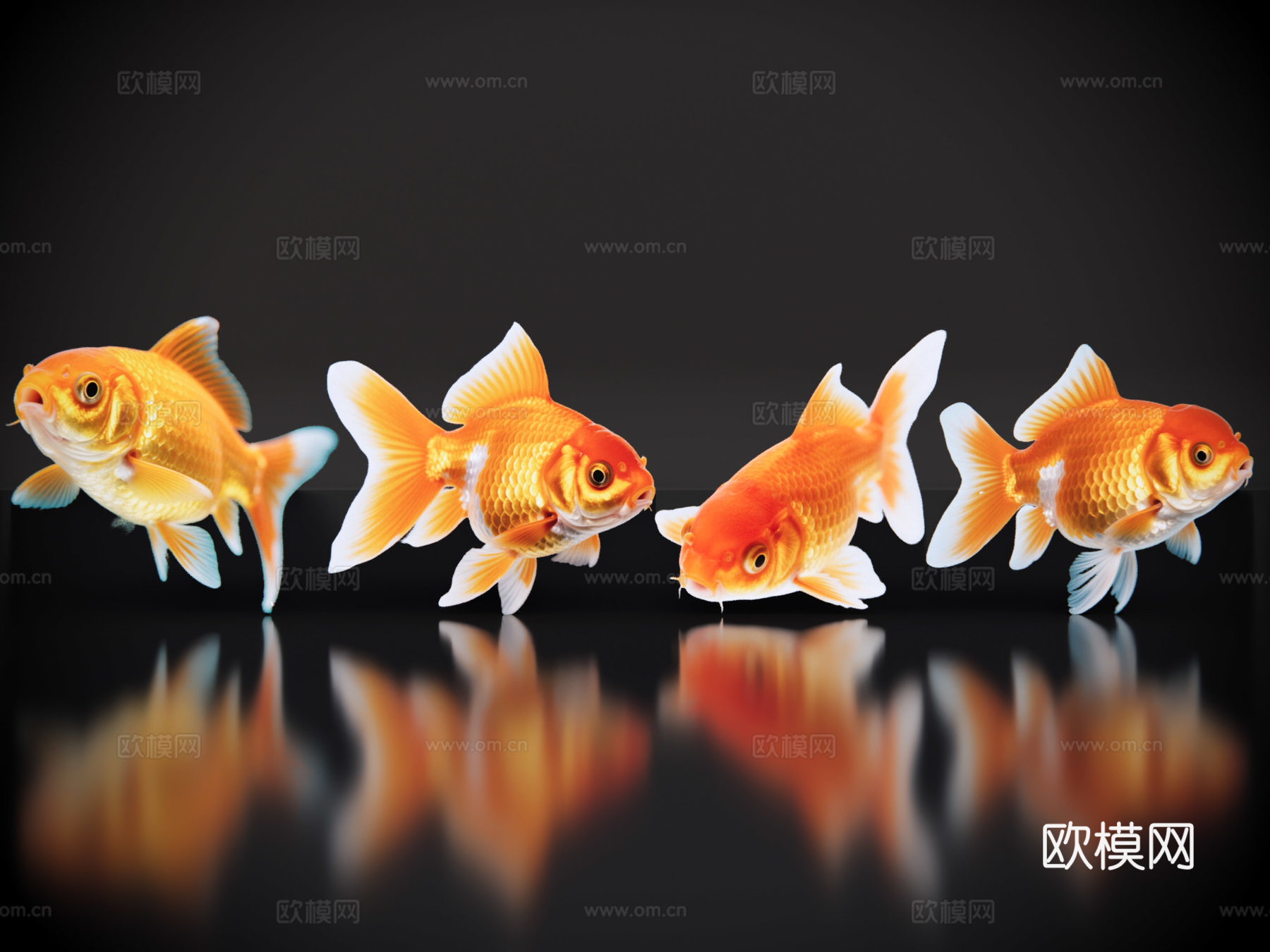 2D动物 金鱼 观赏鱼 水生动物 水族馆 鱼缸su模型su模型