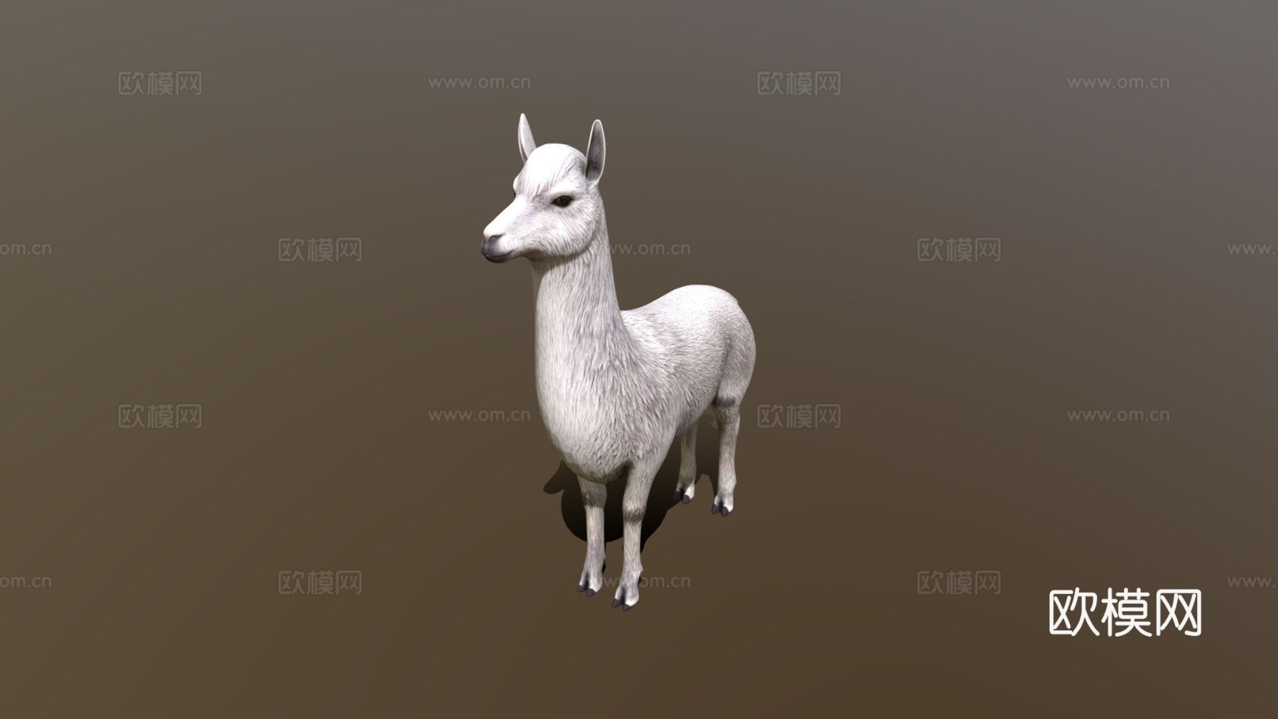 羊驼3d模型
