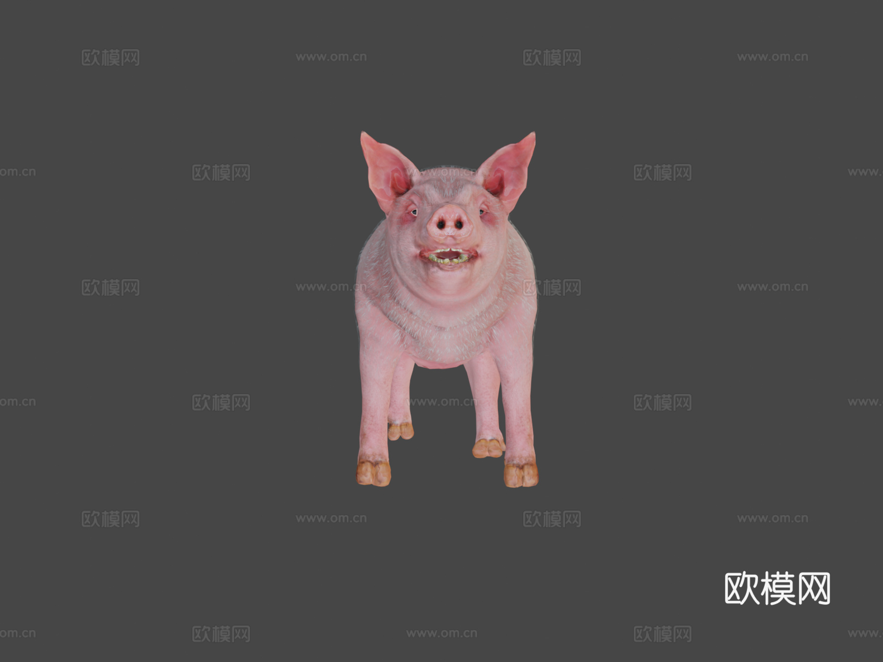 动画猪3d模型