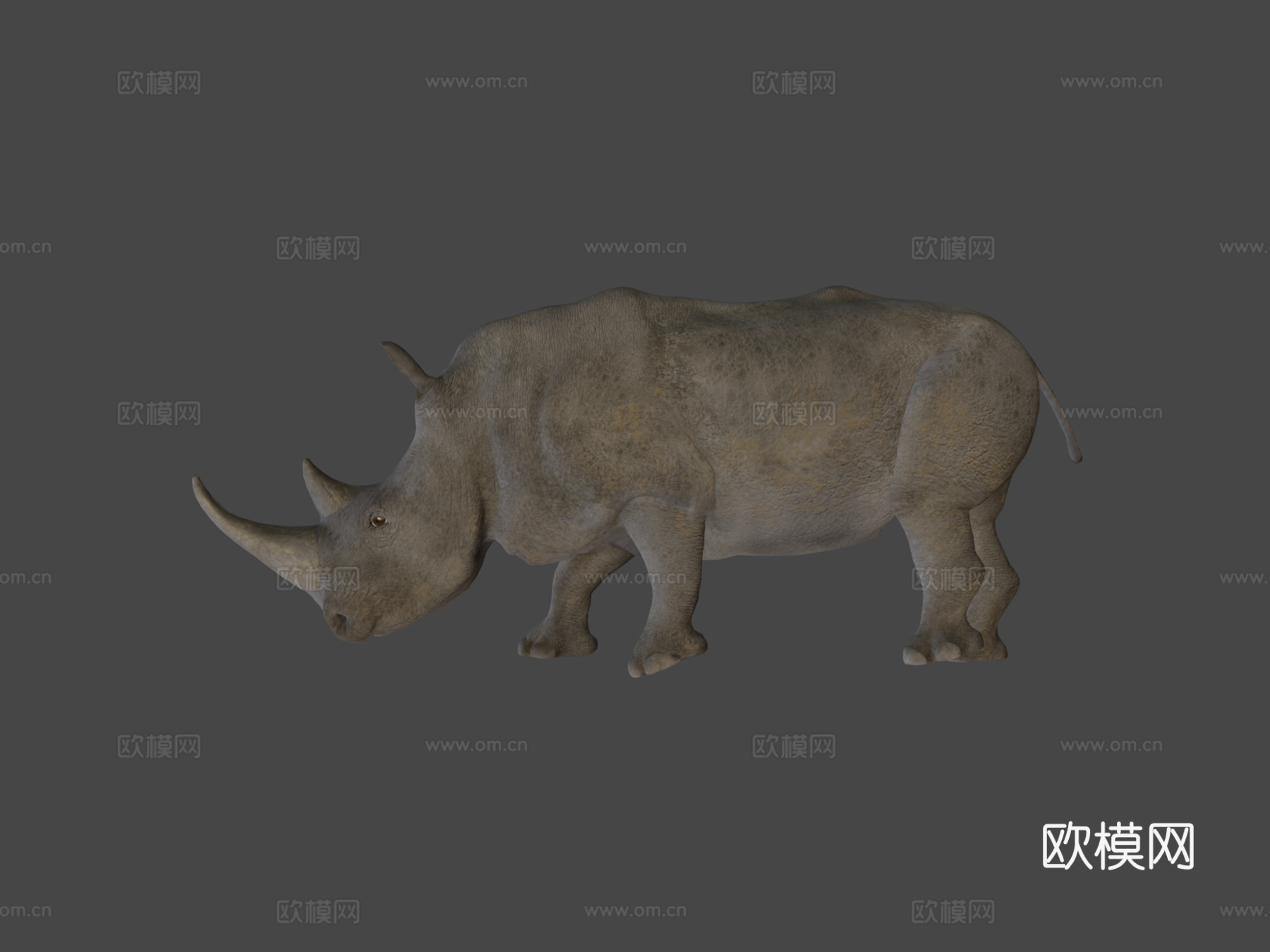 白犀牛3d模型