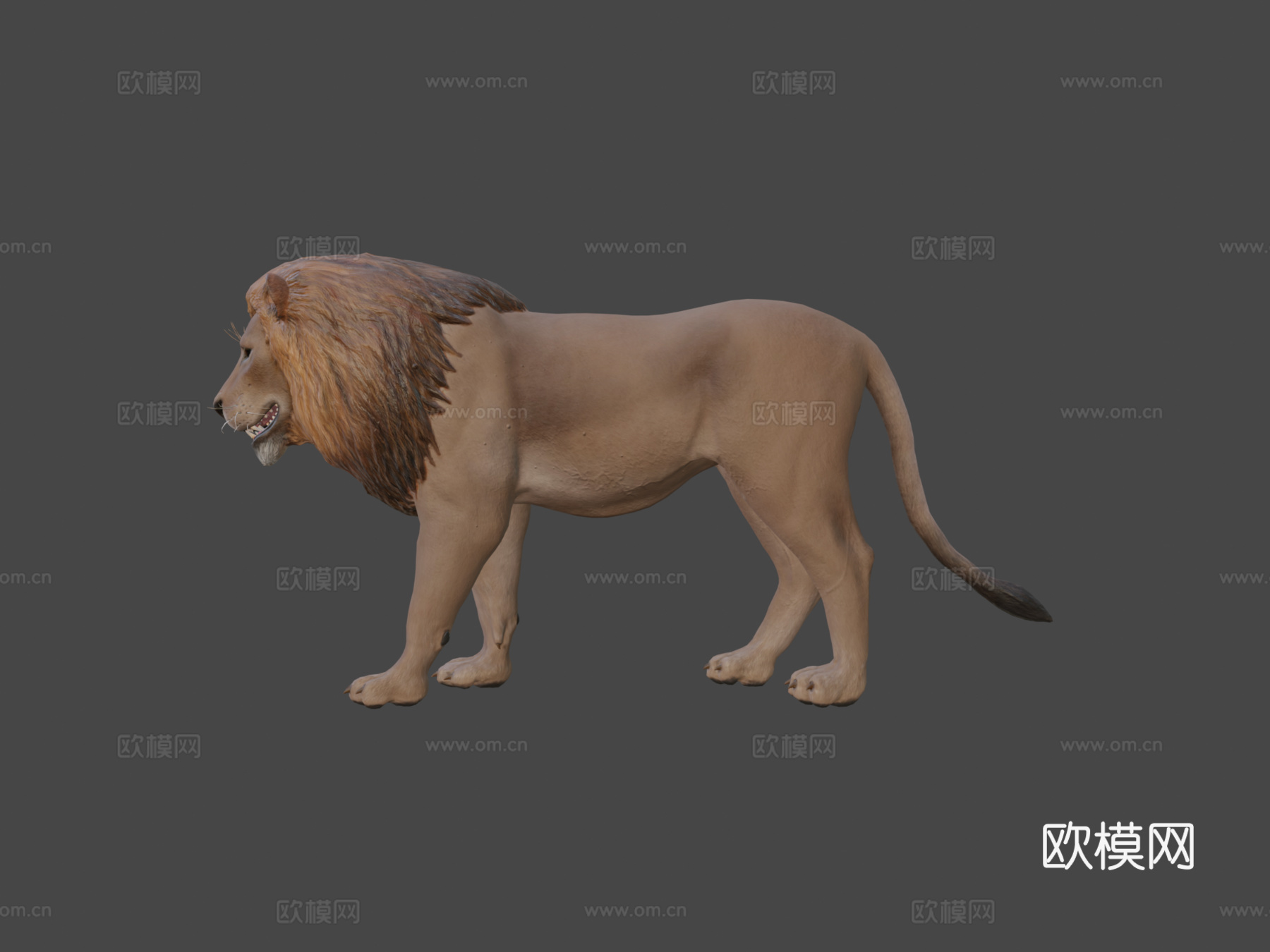 狮子3d模型