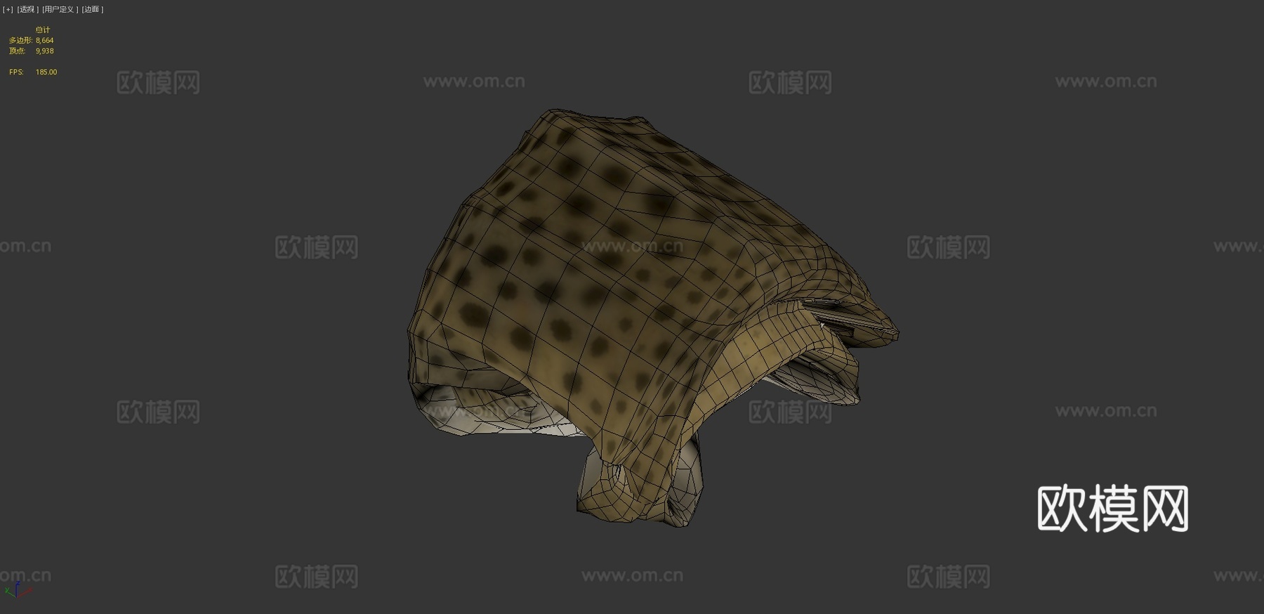 斑马鲨♂3d模型