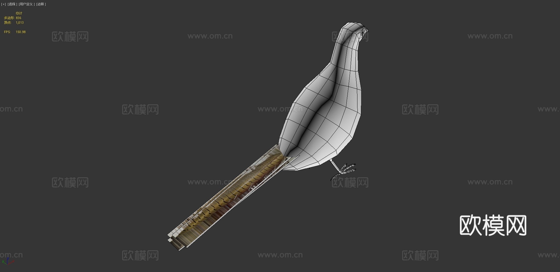 环颈雉3d模型