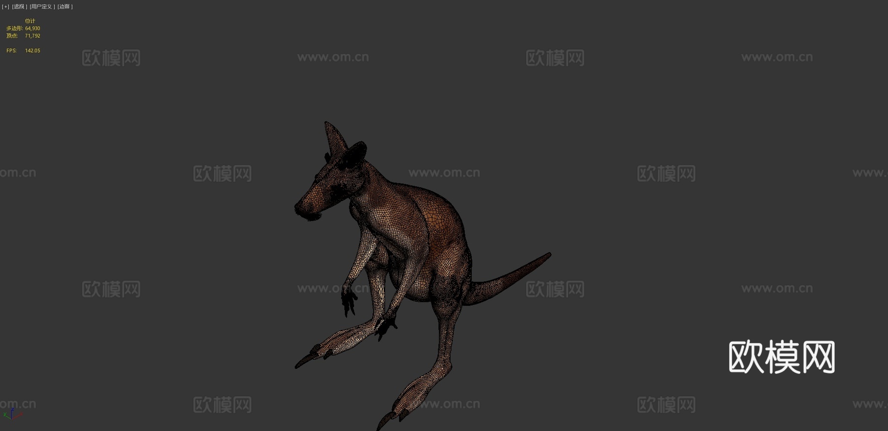 袋鼠3d模型