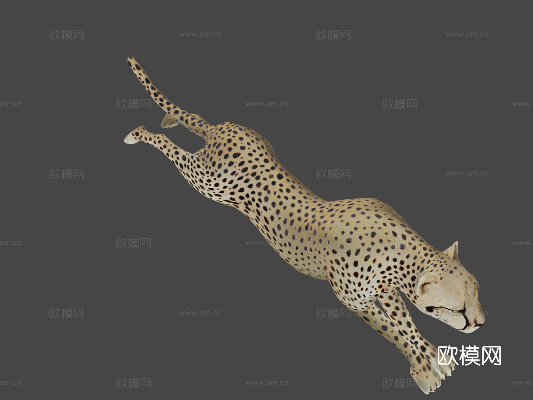 猎豹3d模型