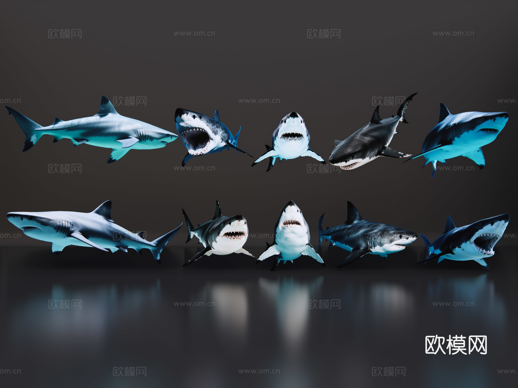 2D动物 鲨鱼 海洋馆 水族馆 动物世界 动物园su模型
