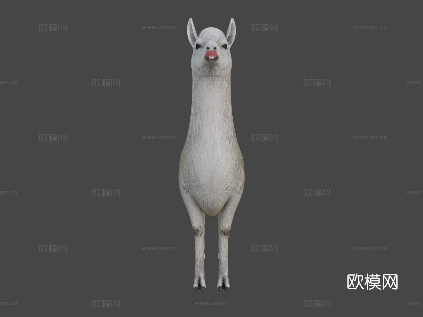 羊驼3d模型