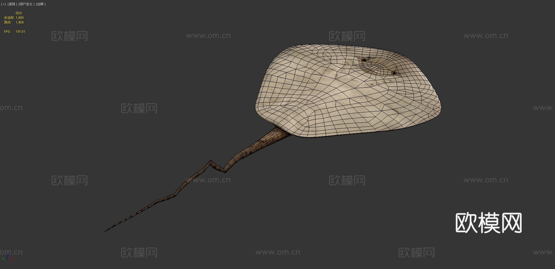 魟鱼3d模型