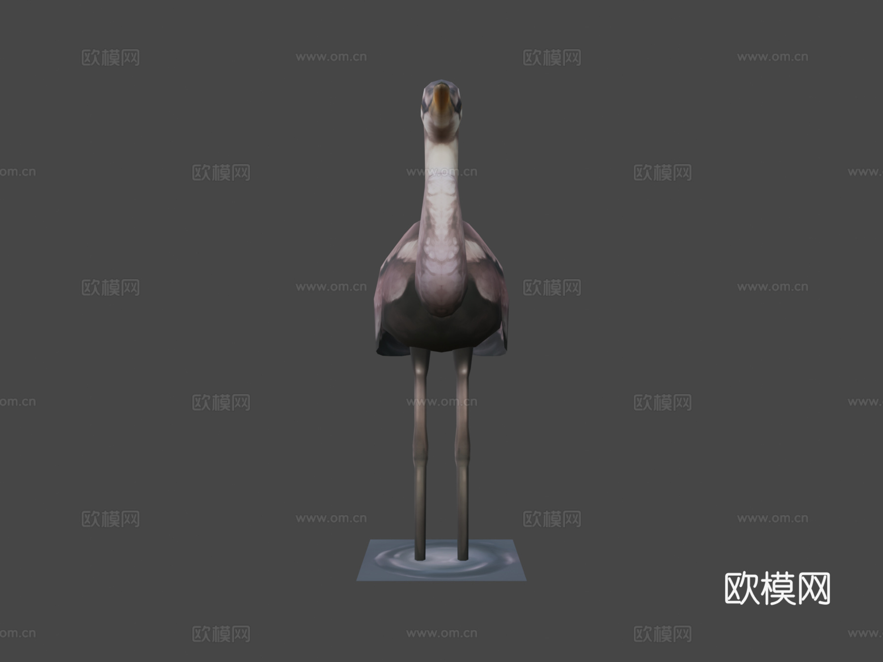 鸟3d模型