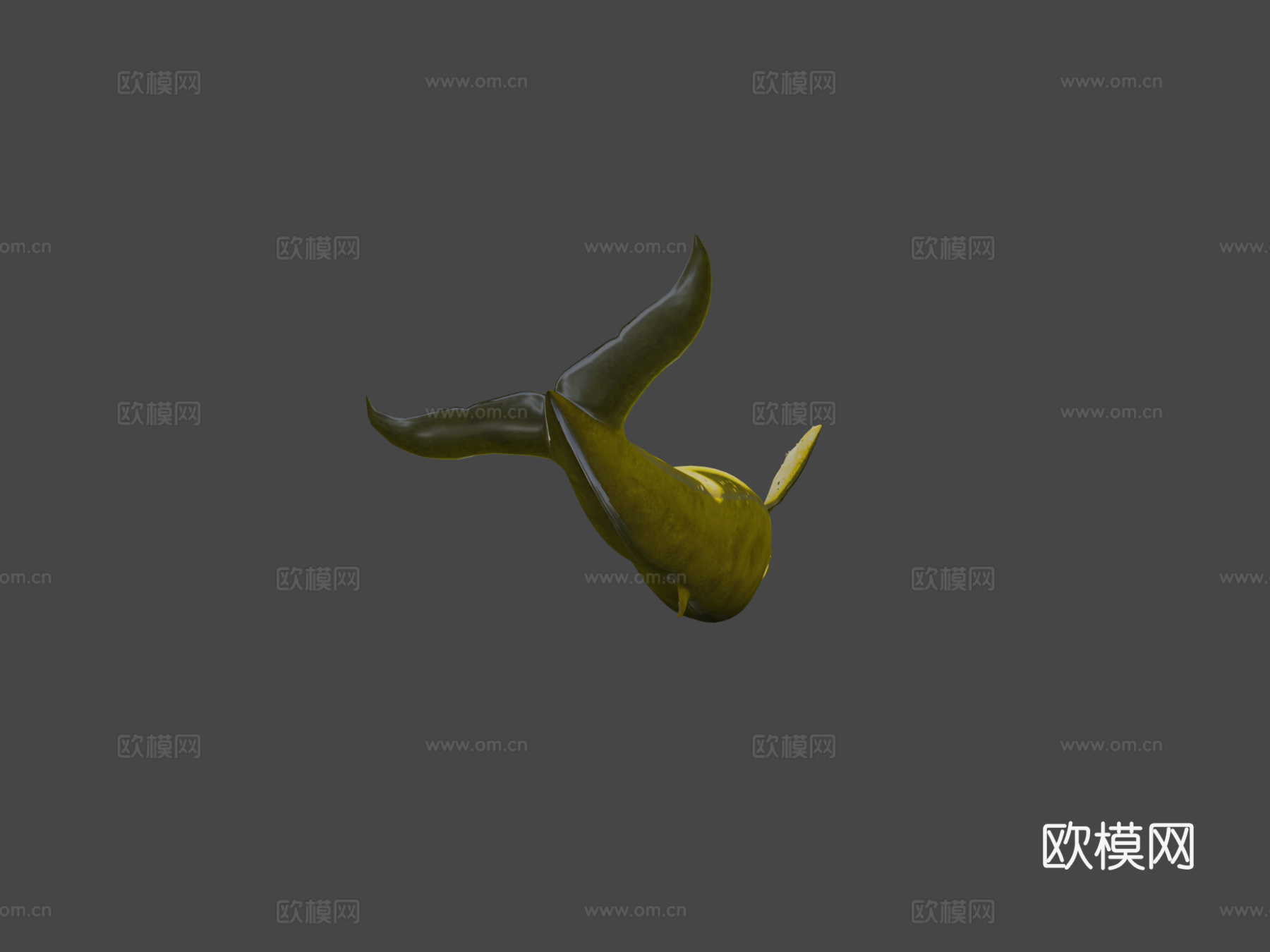 绑定动画蓝鲸3d模型