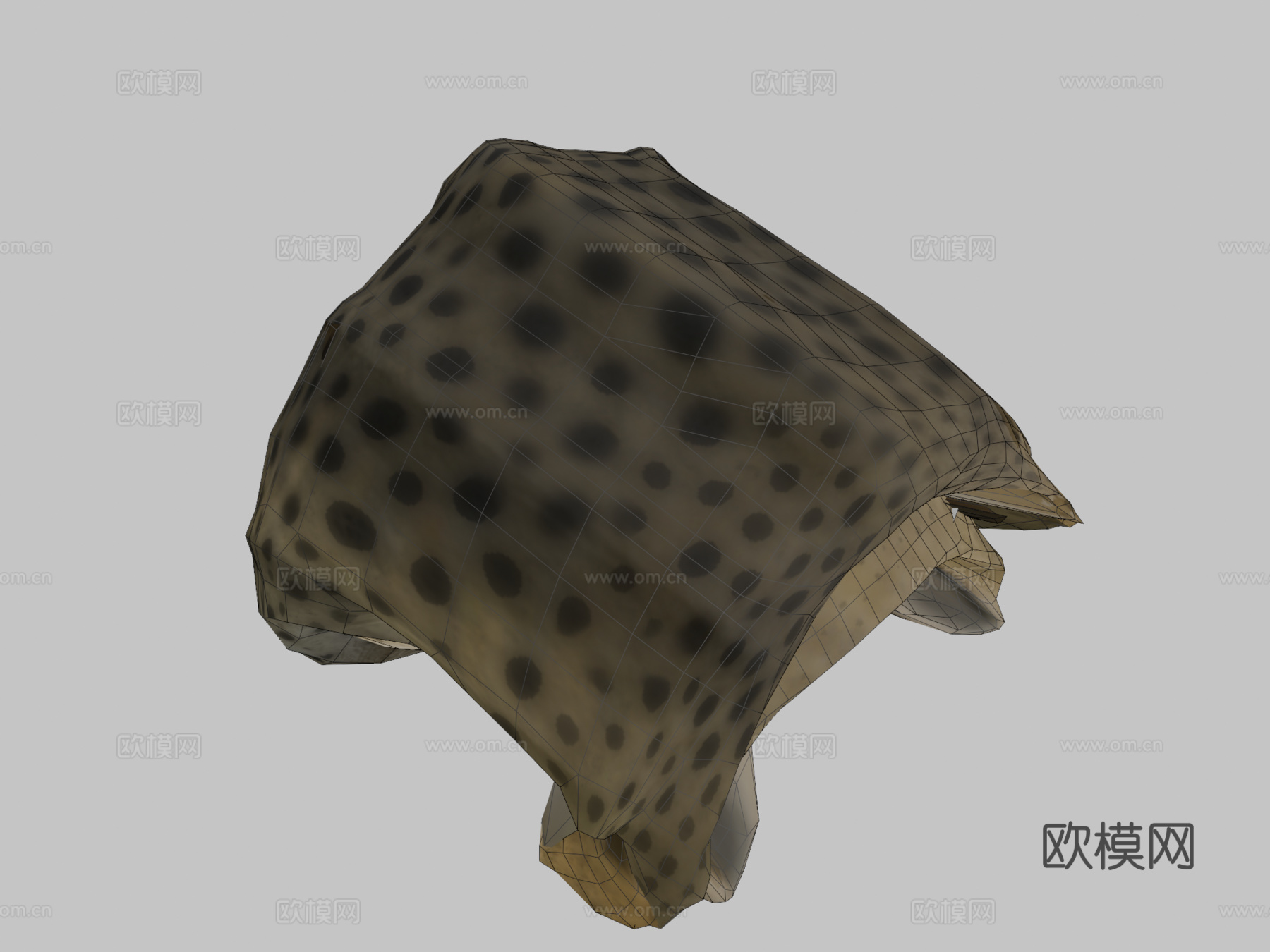 斑马鲨♂3d模型