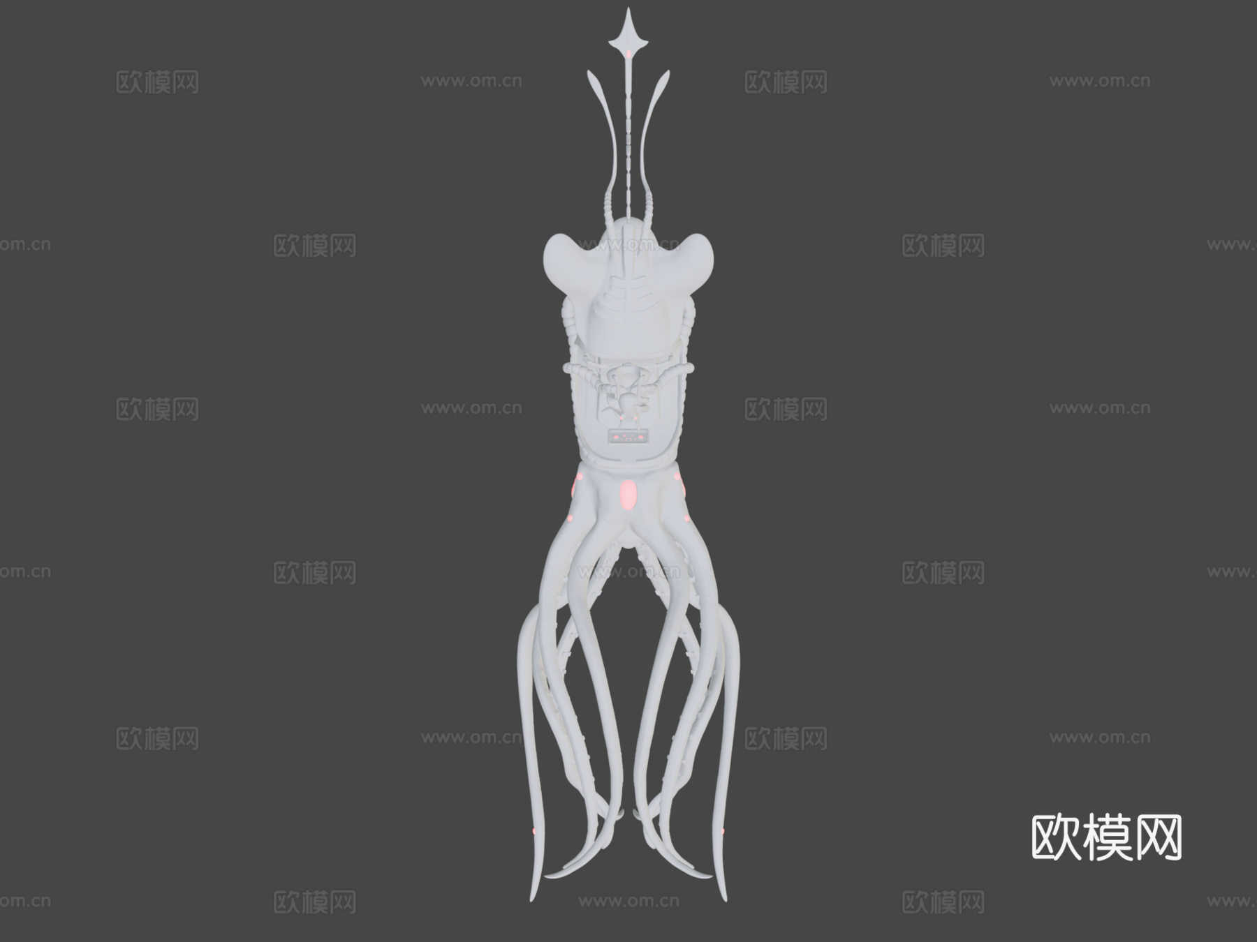 章鱼鱿鱼3d模型