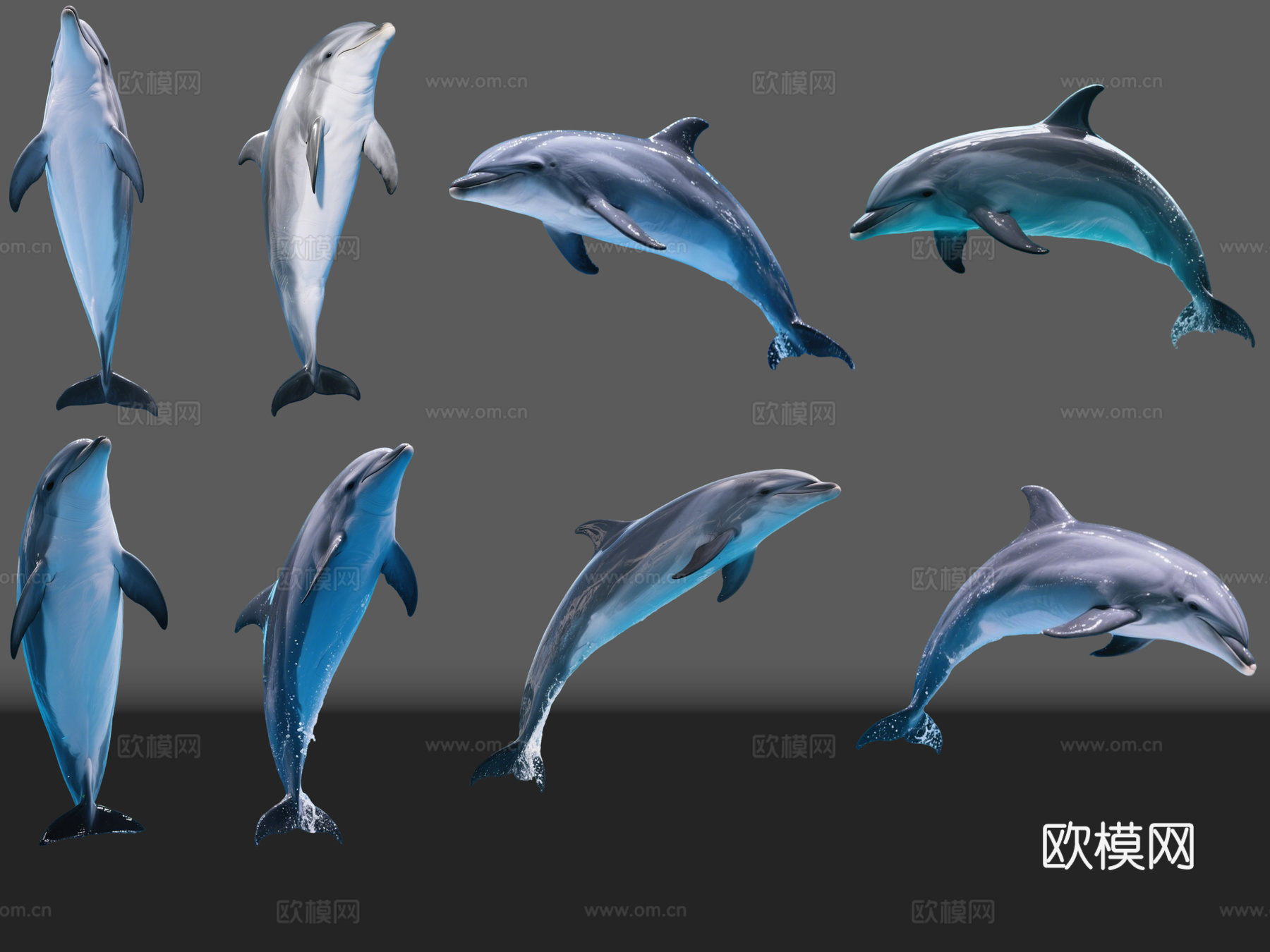 2D动物 海豚 海洋馆 水族馆 动物世界 动物园su模型