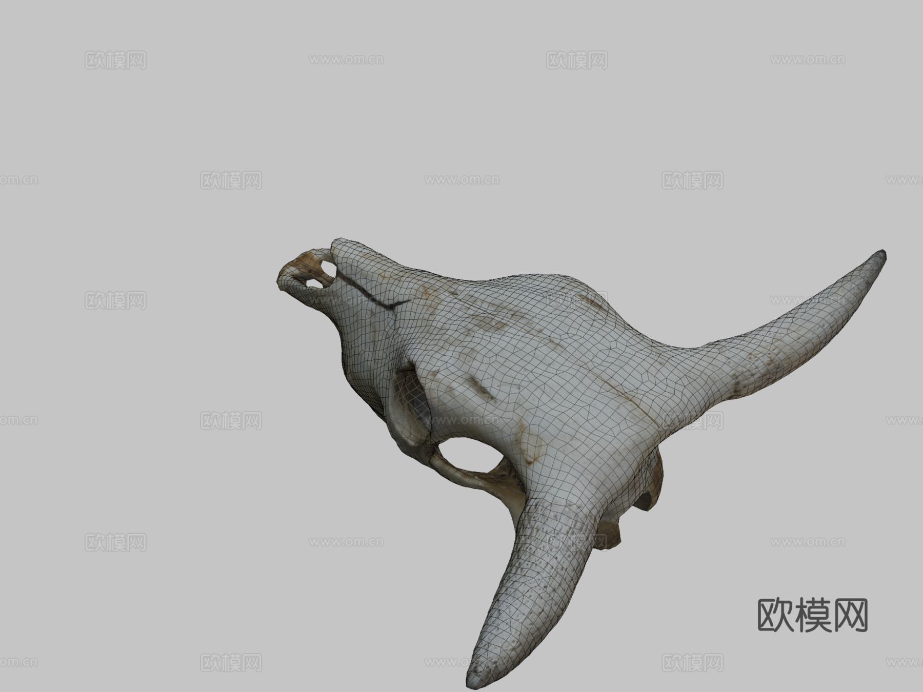 日晒牛头骨资产3d模型