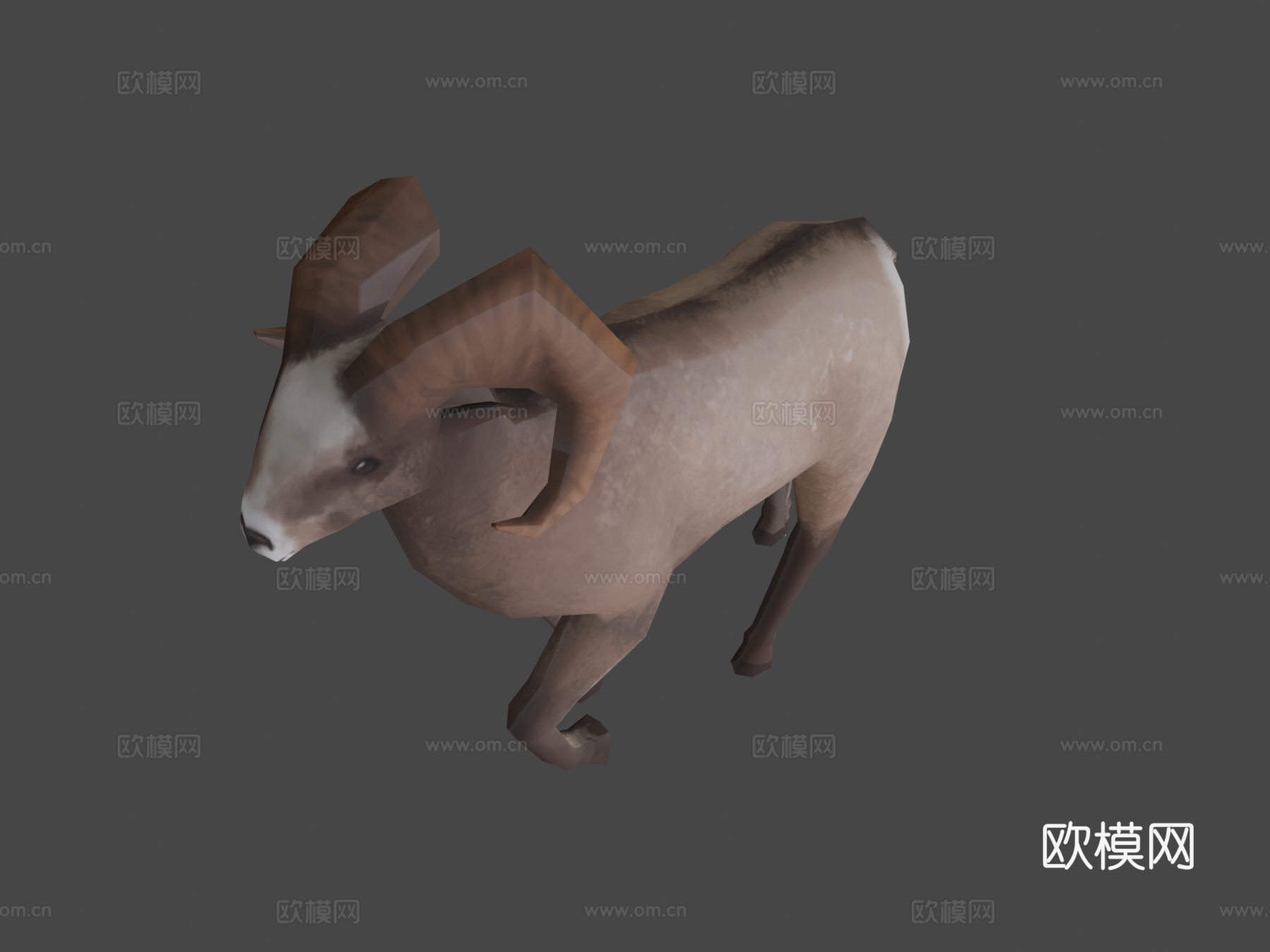 大角羊3d模型