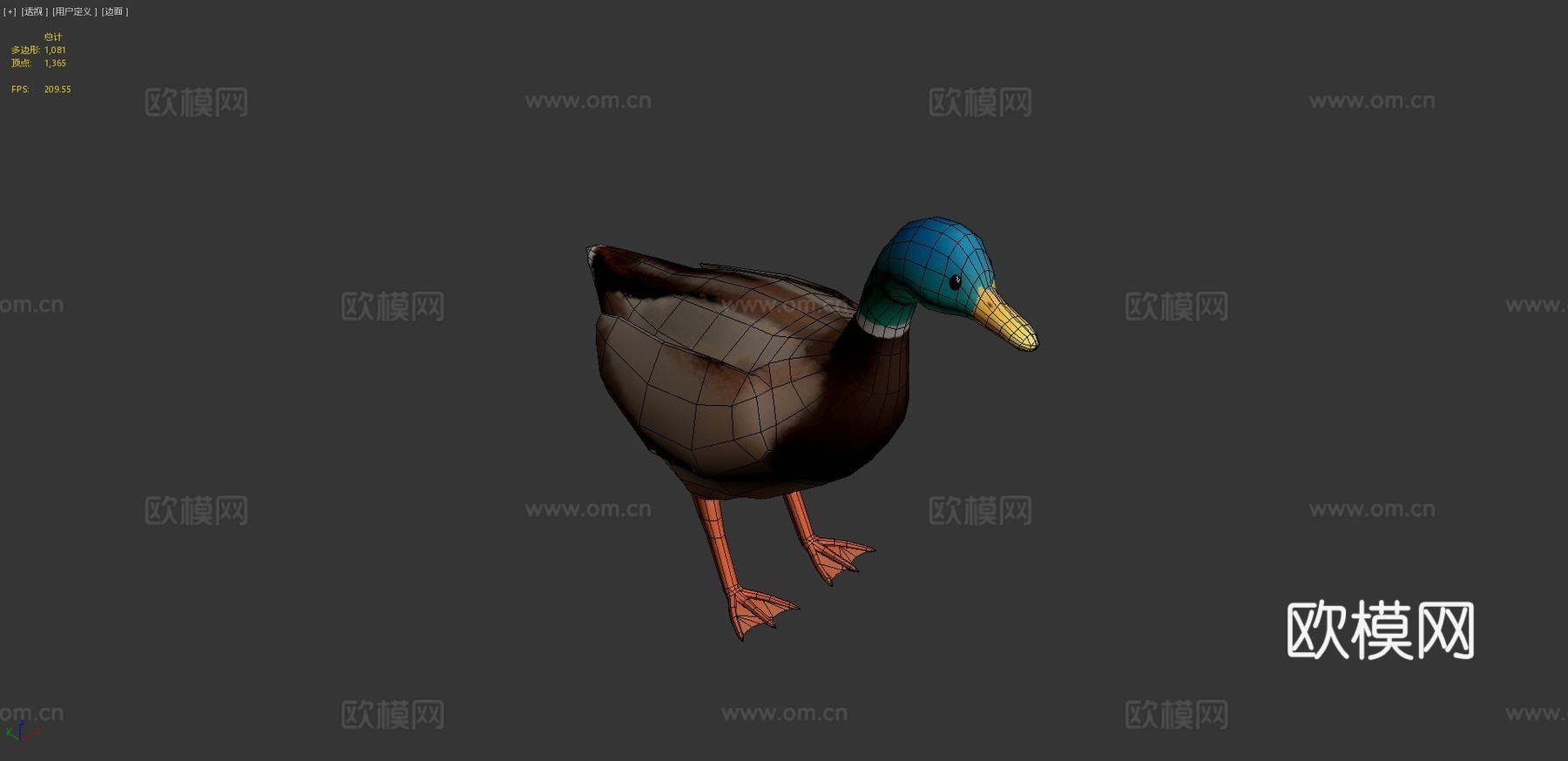 绿头鸭3d模型