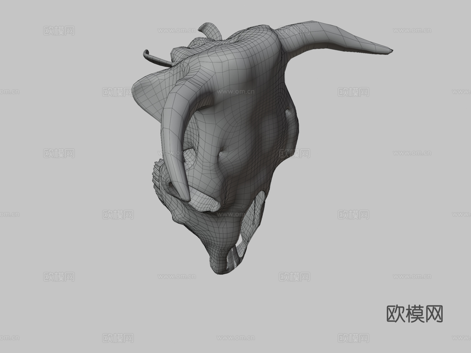 牛头骨3d模型
