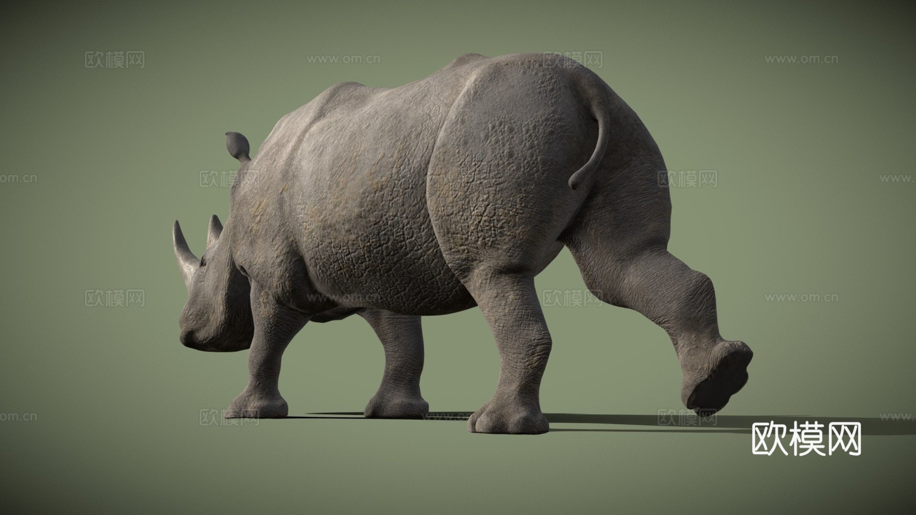 白犀牛3d模型