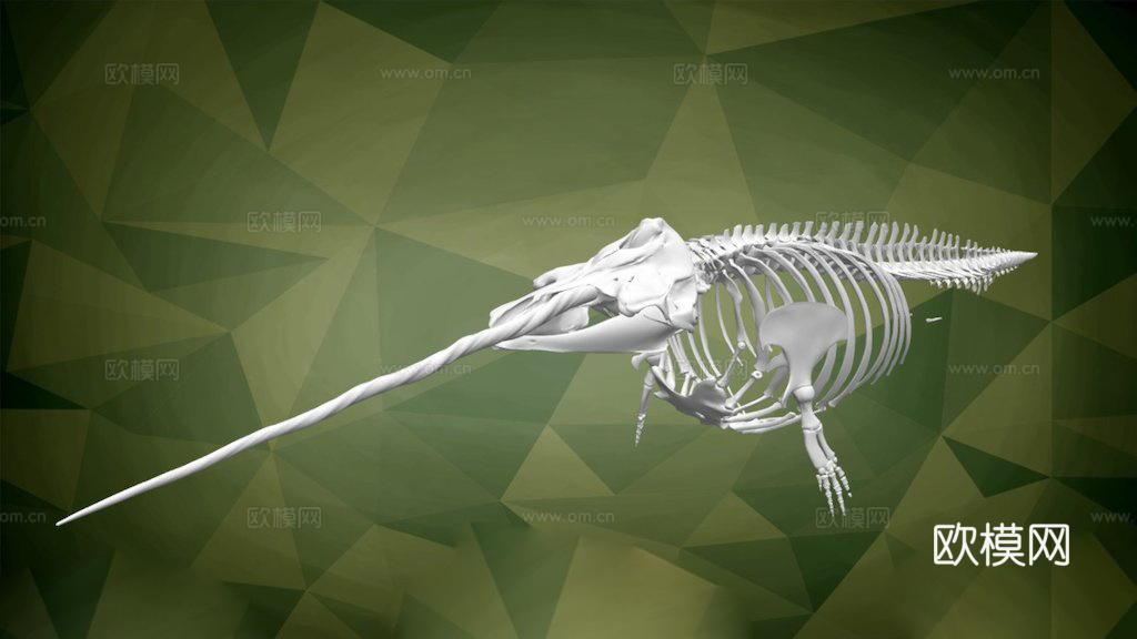 UAM3380独角鲸3d模型