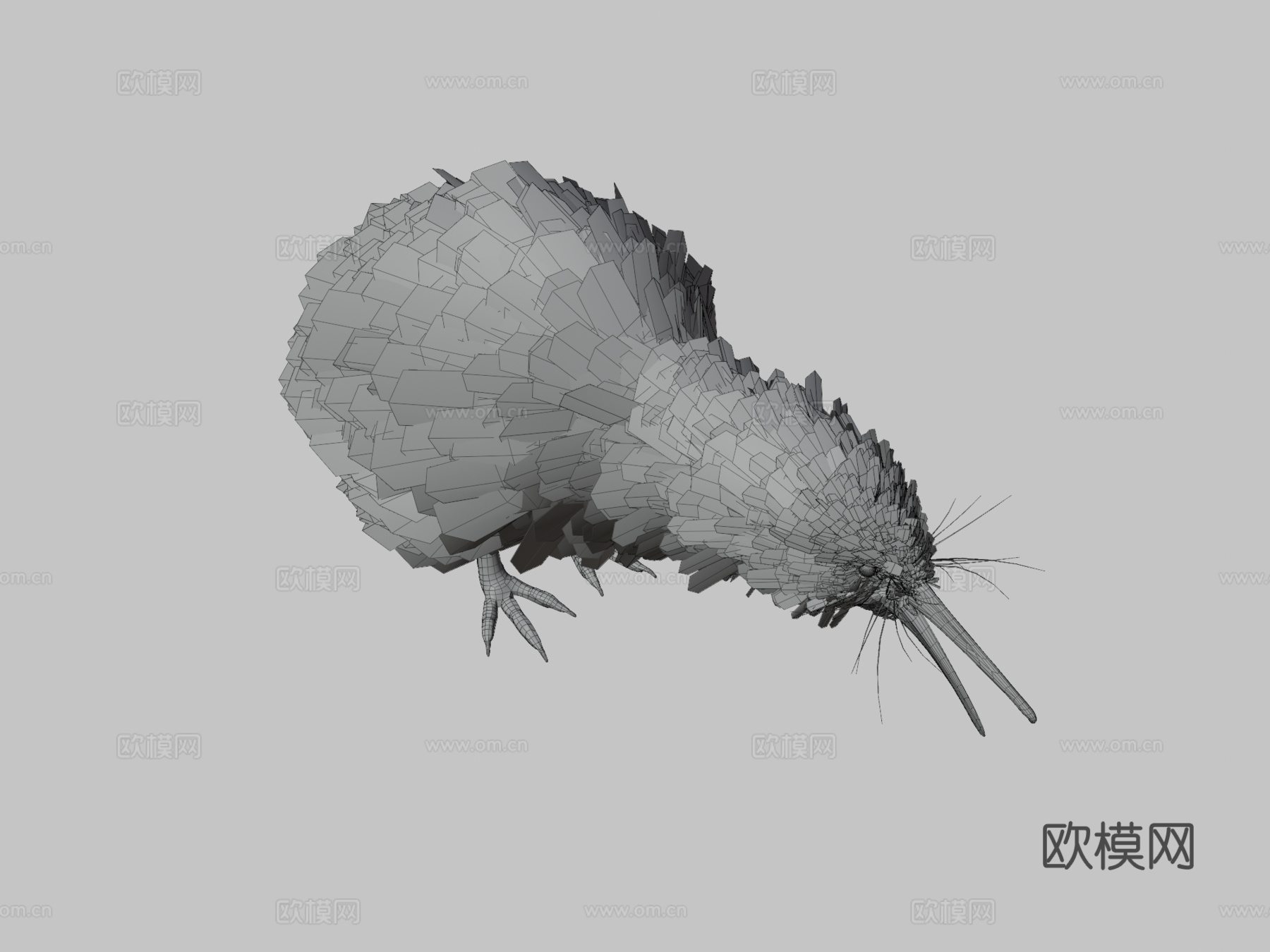小斑点几维鸟3d模型