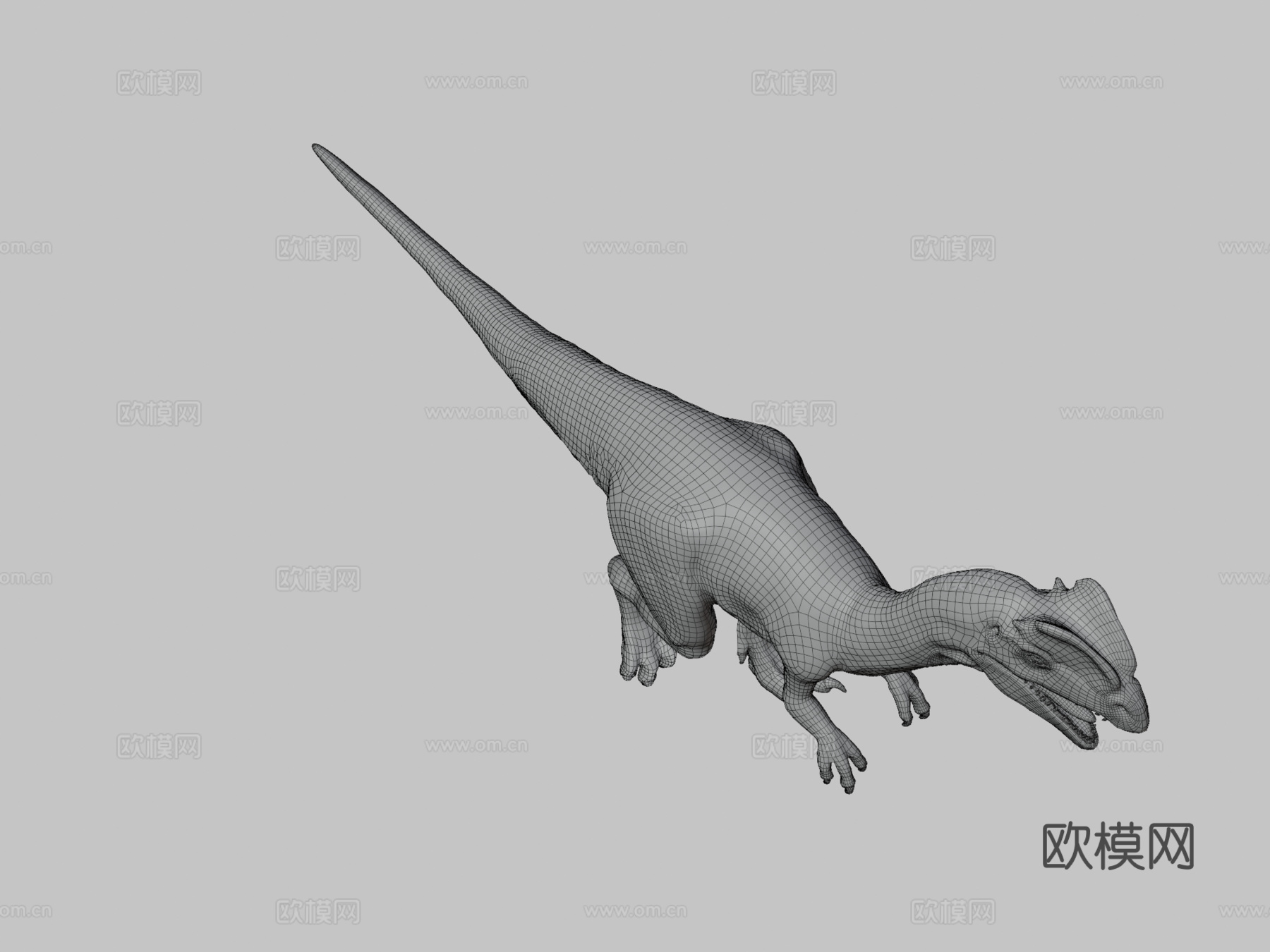 双脊龙3d模型