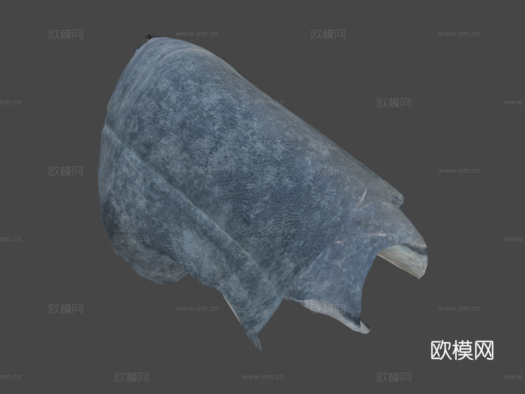 刺鲨3d模型