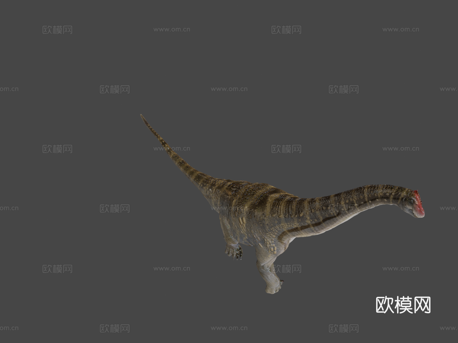 阿拉莫龙3d模型