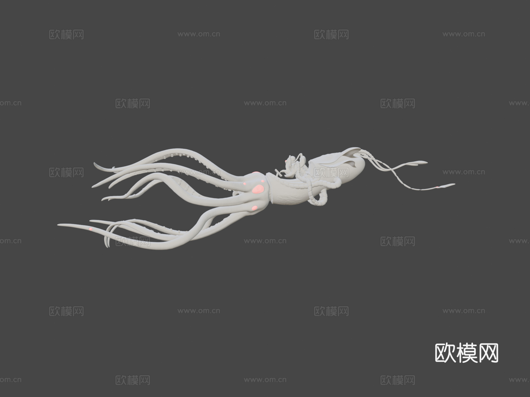 章鱼鱿鱼3d模型